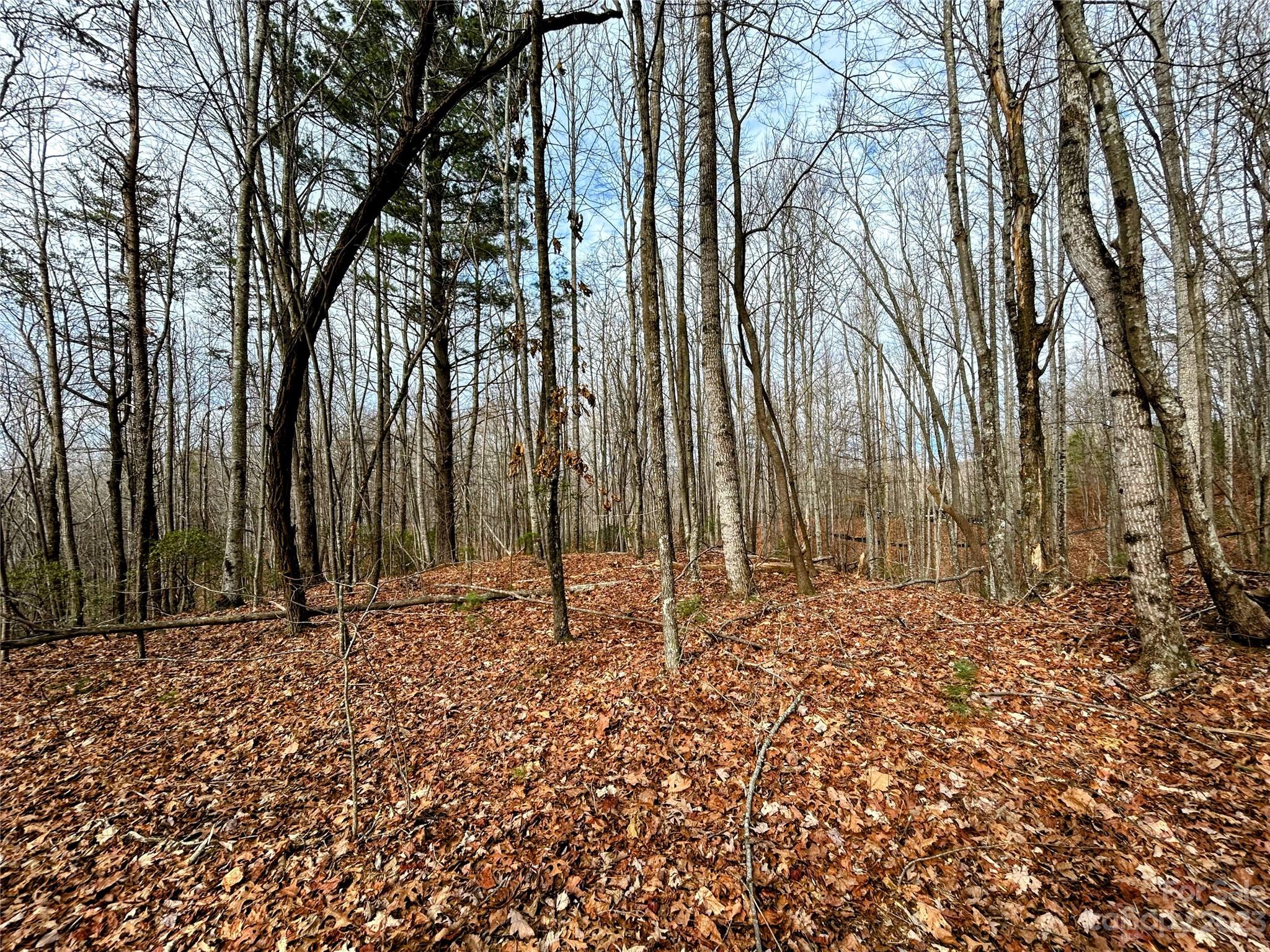 Little Warrior Mtn Estates - Land