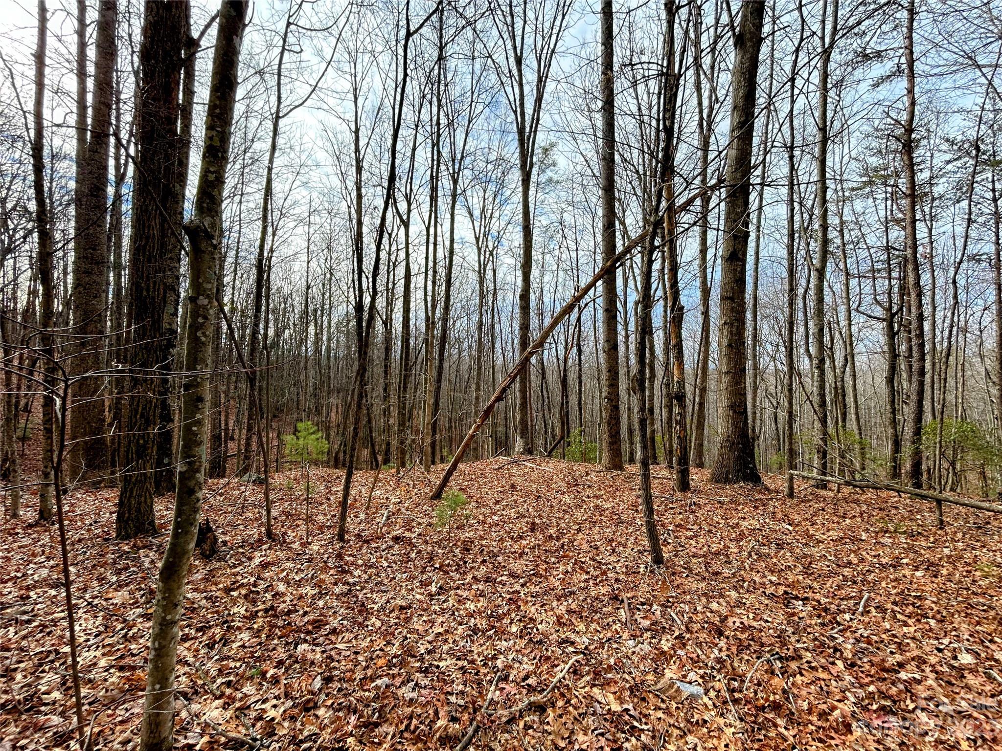 Little Warrior Mtn Estates - Land