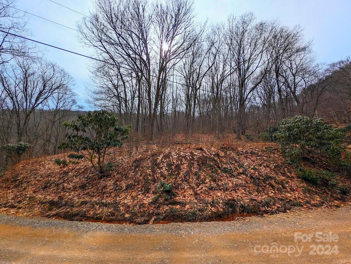 The Buncombe Cove - Land