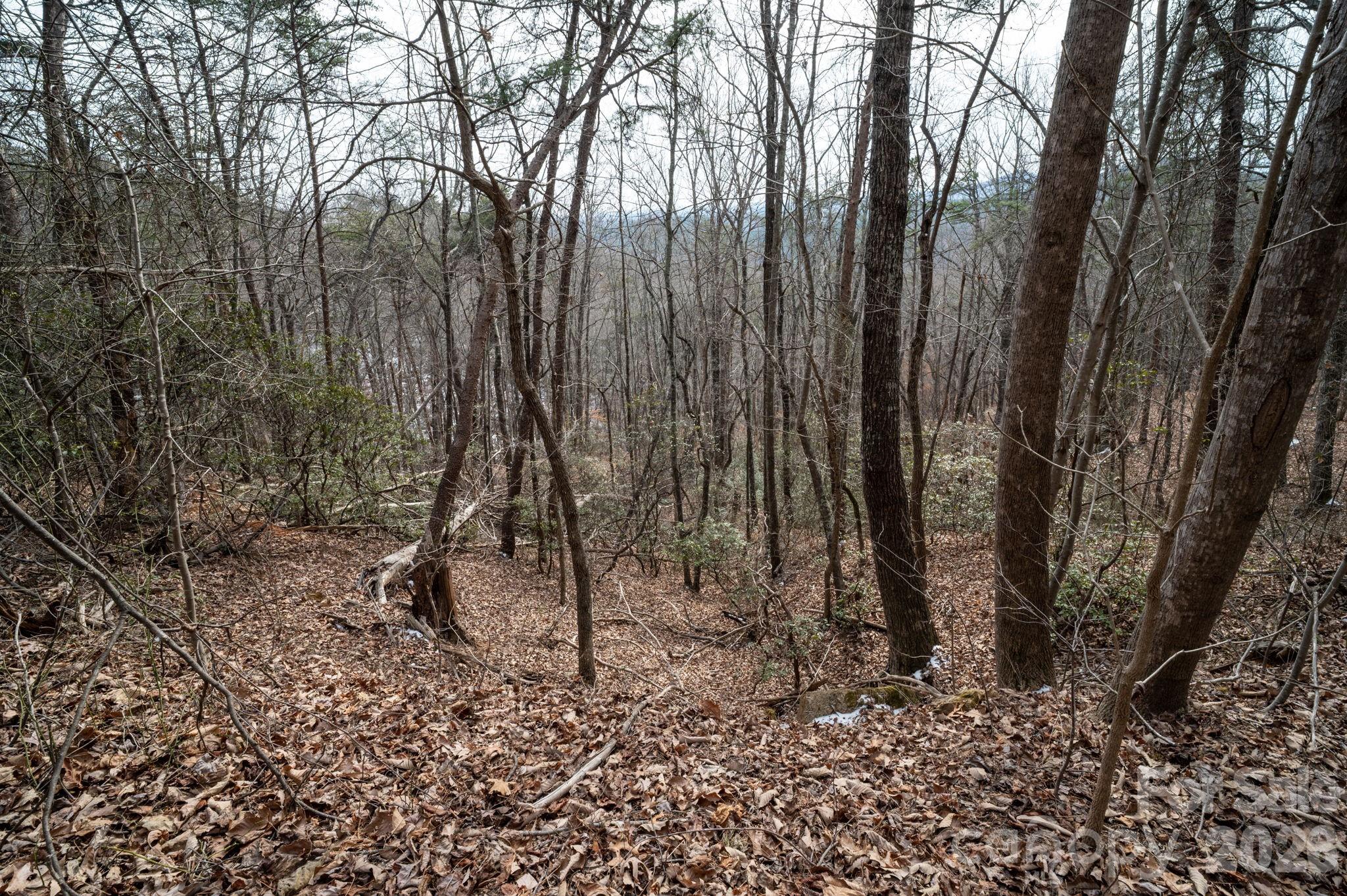 Pinnacle Ridge - Land