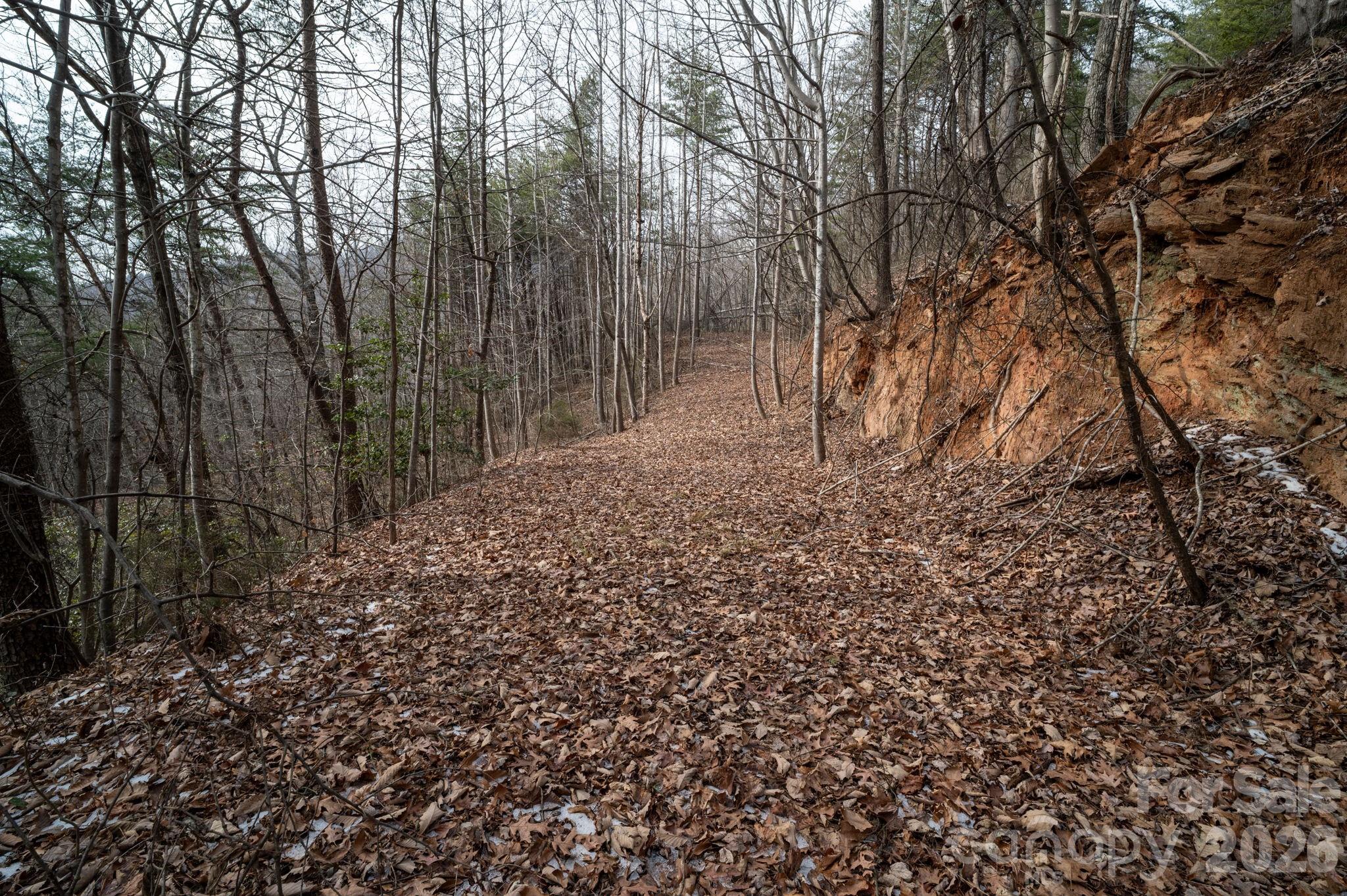 Pinnacle Ridge - Land