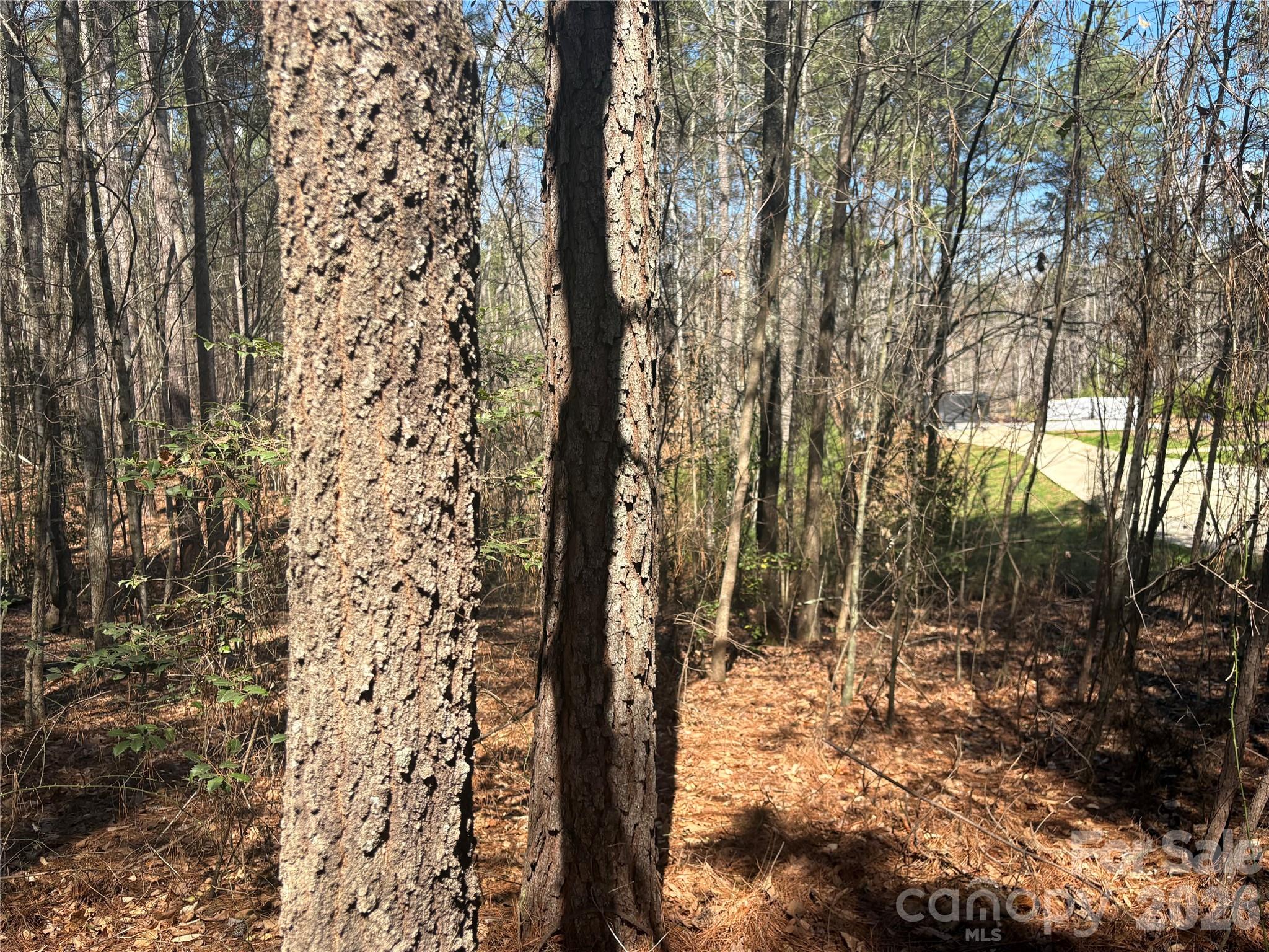 Tucked away and rare 1.2-acre homesite offering the perfect blend of seclusion, natural beauty, and convenience. Located within a quiet, low-traffic community, this lot provides the privacy of a wooded retreat while keeping you just minutes from the shimmering shores of Lake Norman and a nearby public boat launch.