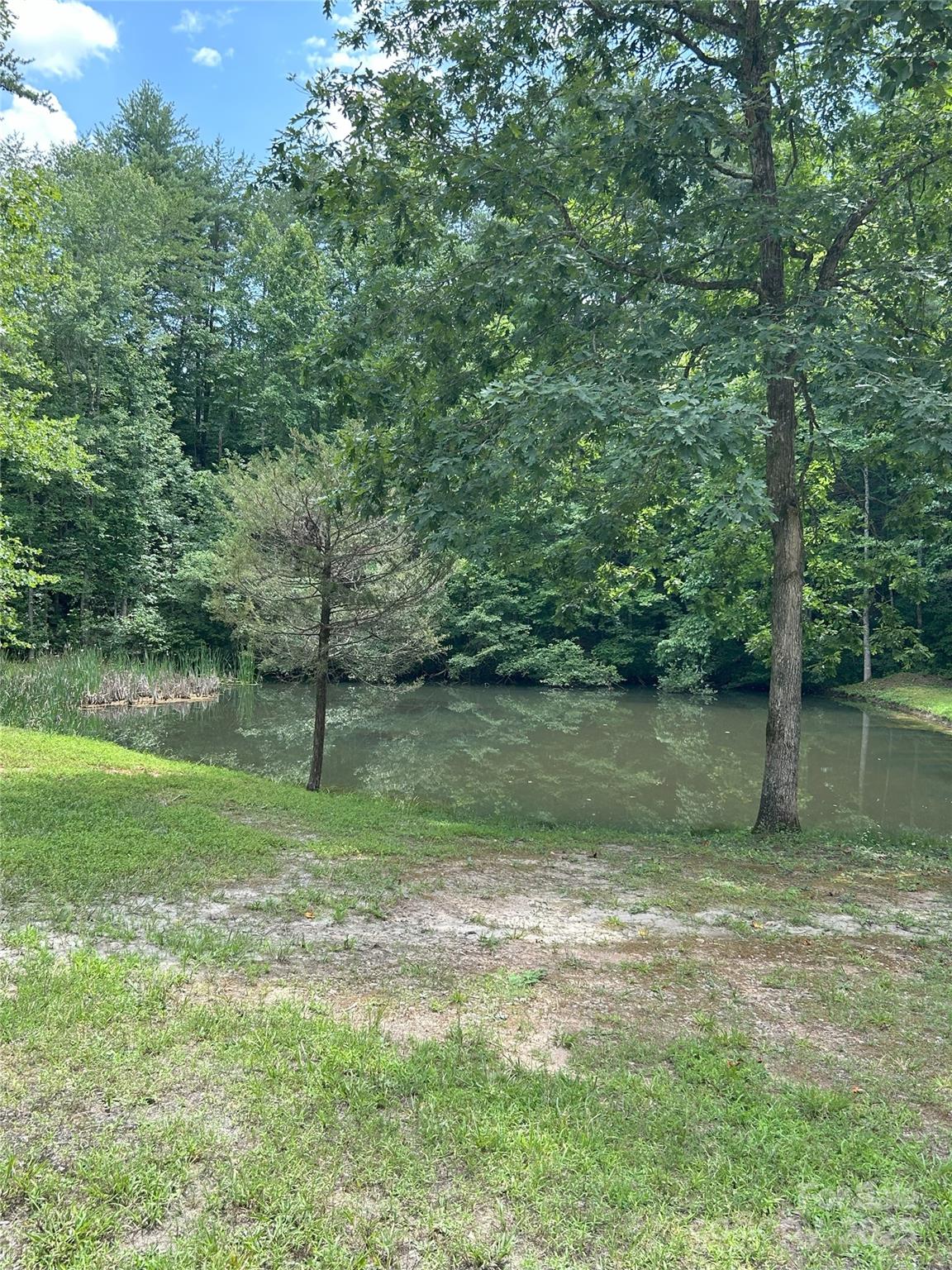 Silver Creek Springs - Land