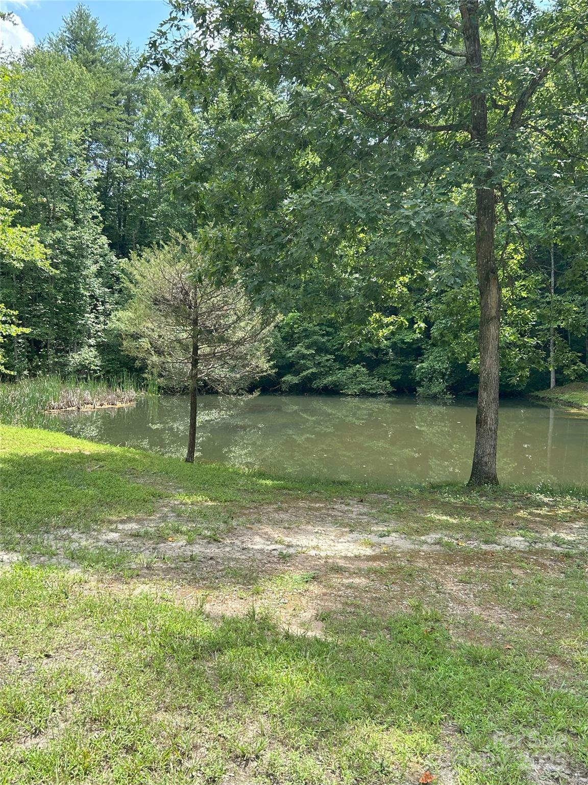 Silver Creek Springs - Land