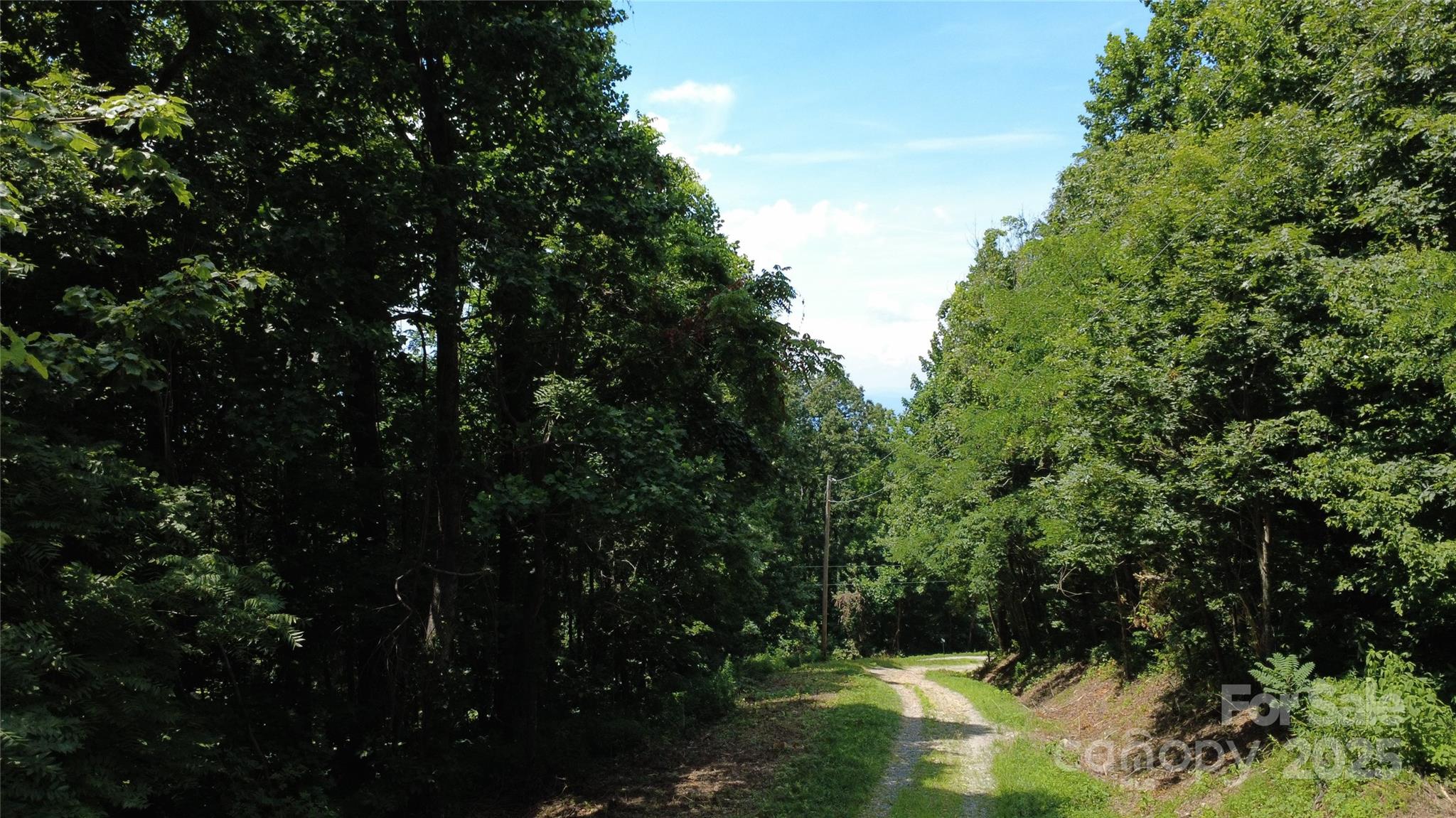 Silver Creek Springs - Land