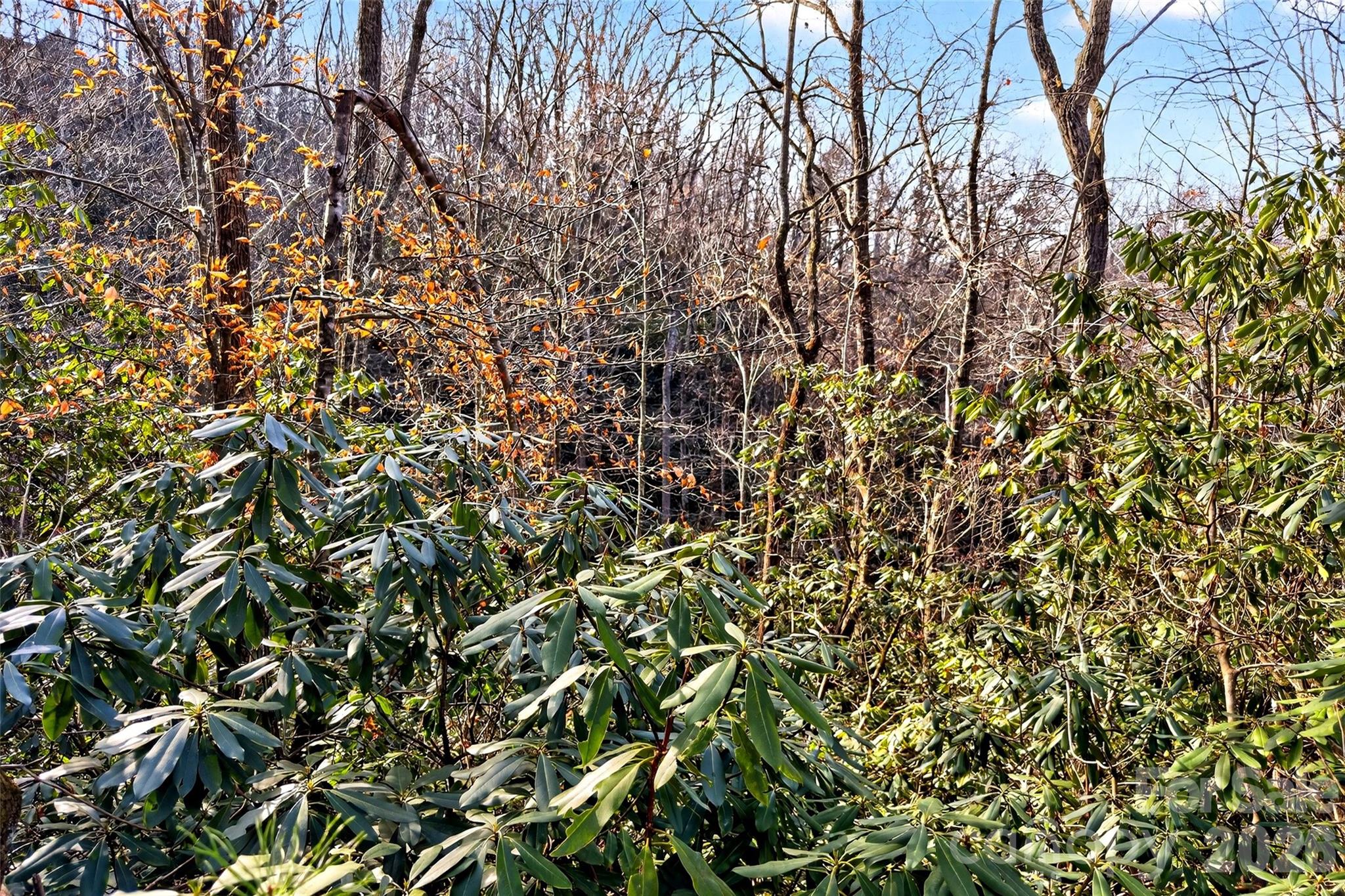 Gateway Mountain - Land