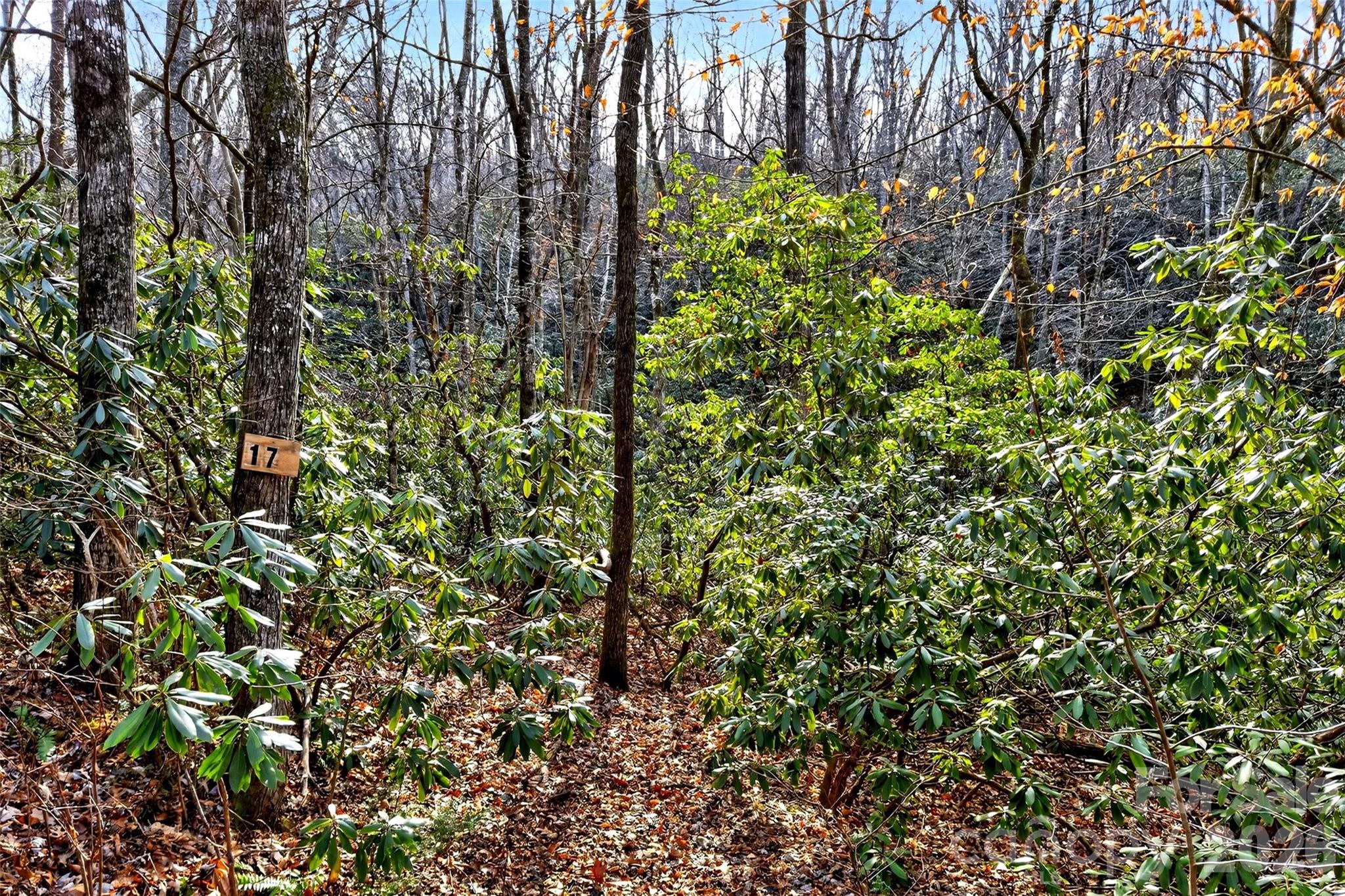 Gateway Mountain - Land