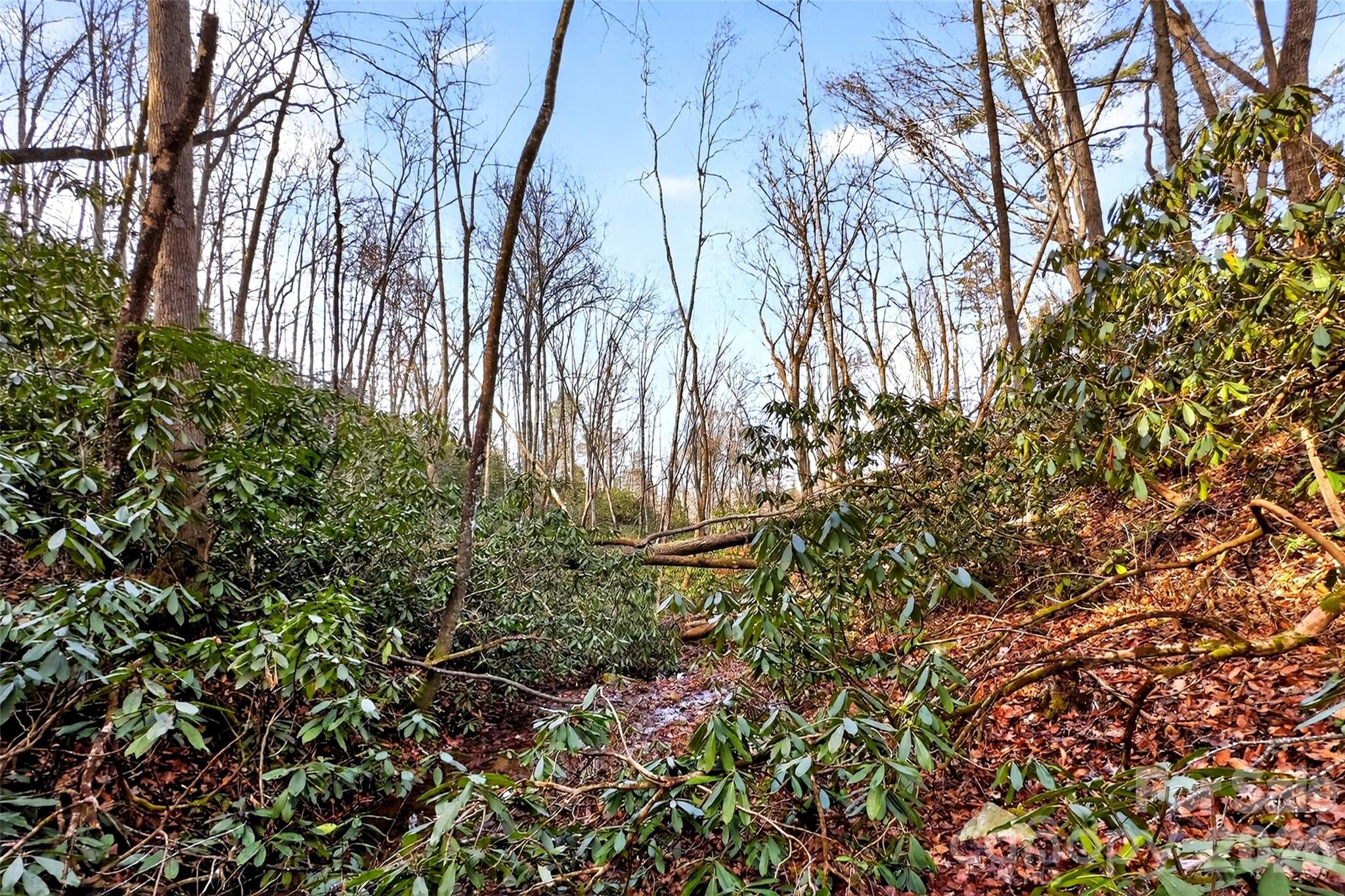 Gateway Mountain - Land