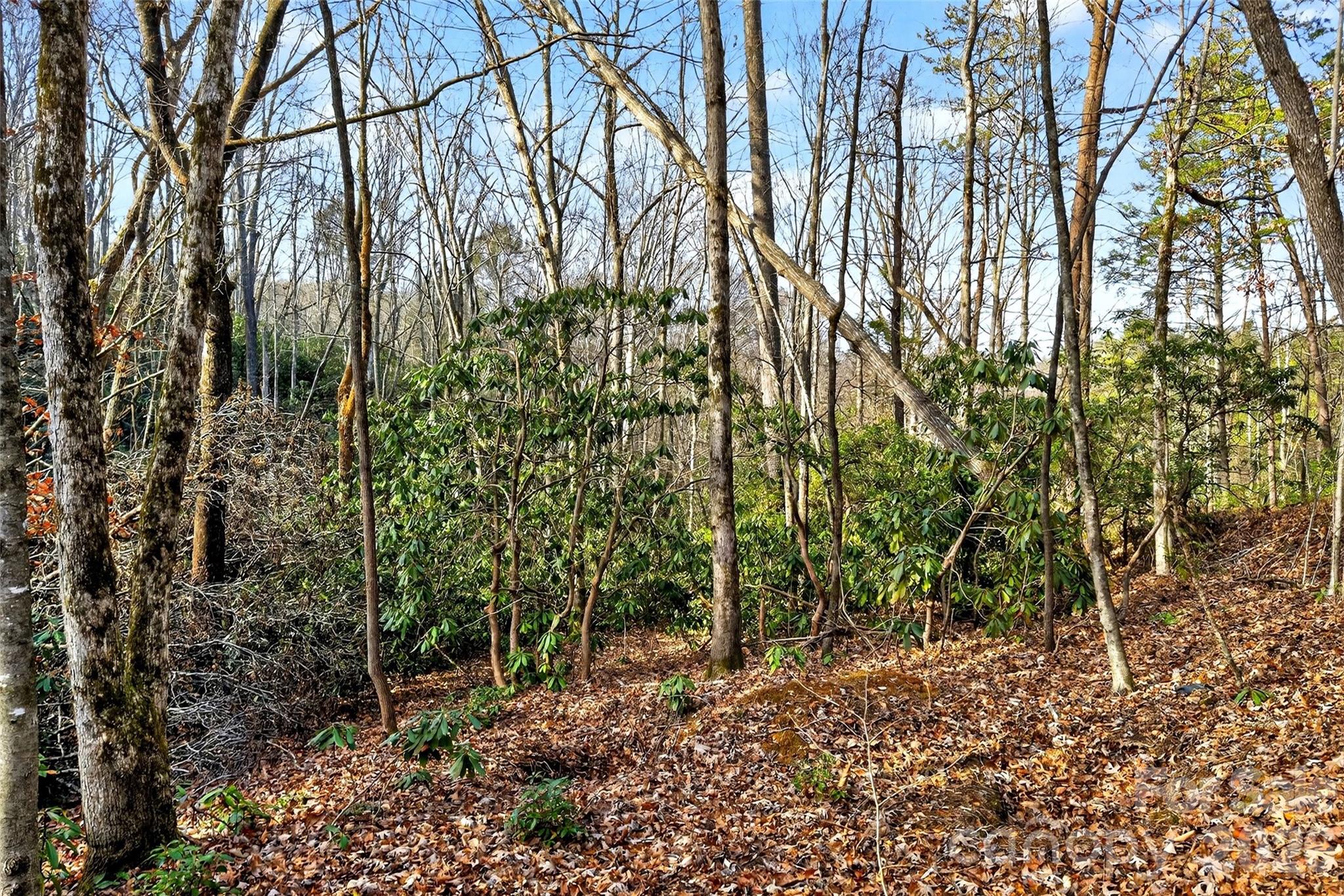Gateway Mountain - Land