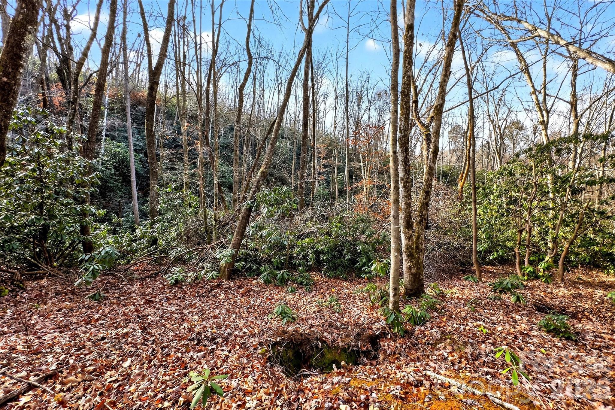 Gateway Mountain - Land