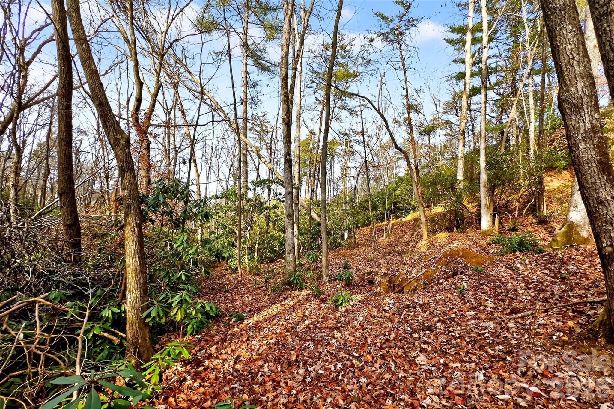 Gateway Mountain - Land