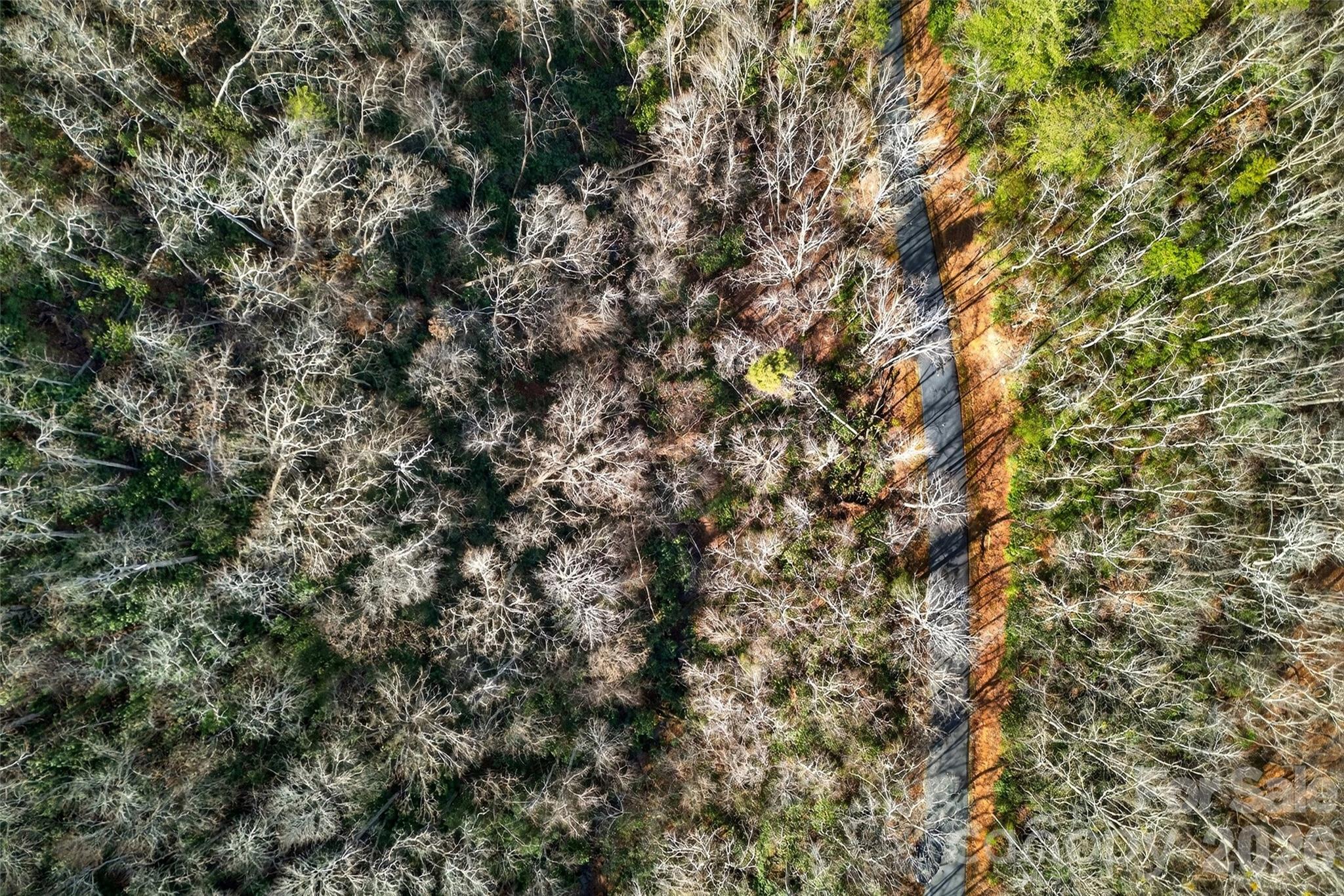 Gateway Mountain - Land