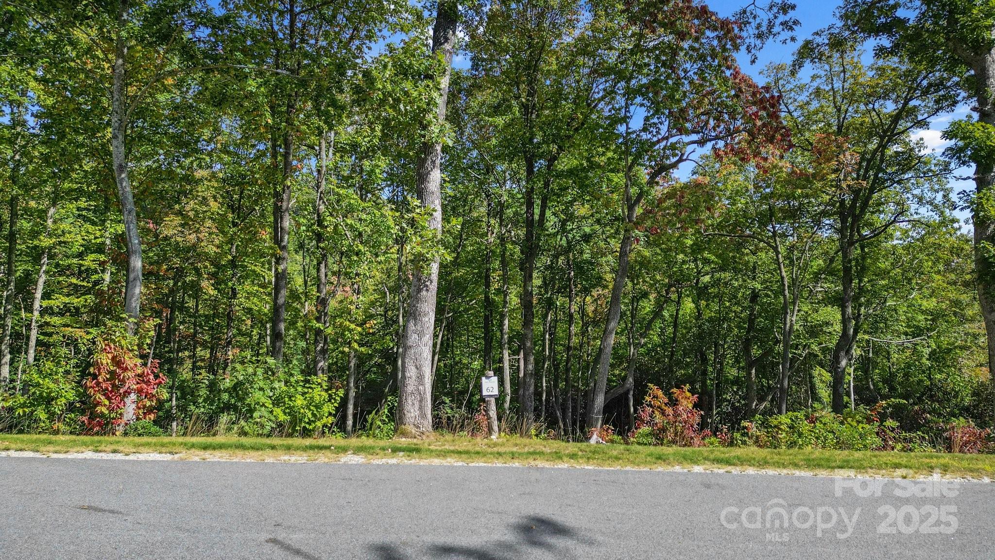 Beautiful 2.81-acre homesite nestled in the gated mountain community of Couch Mountain. Spend your mornings taking in the stunning sunrise over the mountains from this private homesite nestled amongst the trees. Homesite 62 offers gentle topography, beautiful mountain views, and privacy as it backs up to the expansive Nature Preserve winding throughout the community. Located in Couch Mountain, this 395-acre low-density community offers residents the opportunity to walk out their door and step into nature, featuring approximately 4 acres of hiking trails located in the 138-acre Nature Preserve. Spend your days in the community gardens and greenhouse, and enjoy honey from the beehives. Conveniently situated between Hendersonville and Asheville, offering easy access to both mountain towns.