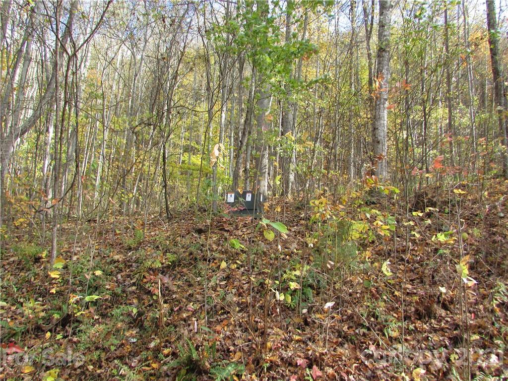 Red Wolf Run - Land