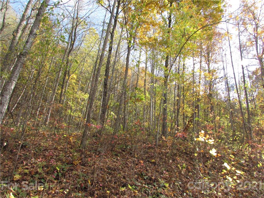 Red Wolf Run - Land