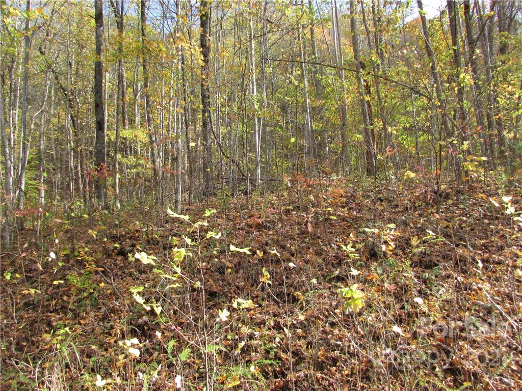 Red Wolf Run - Land