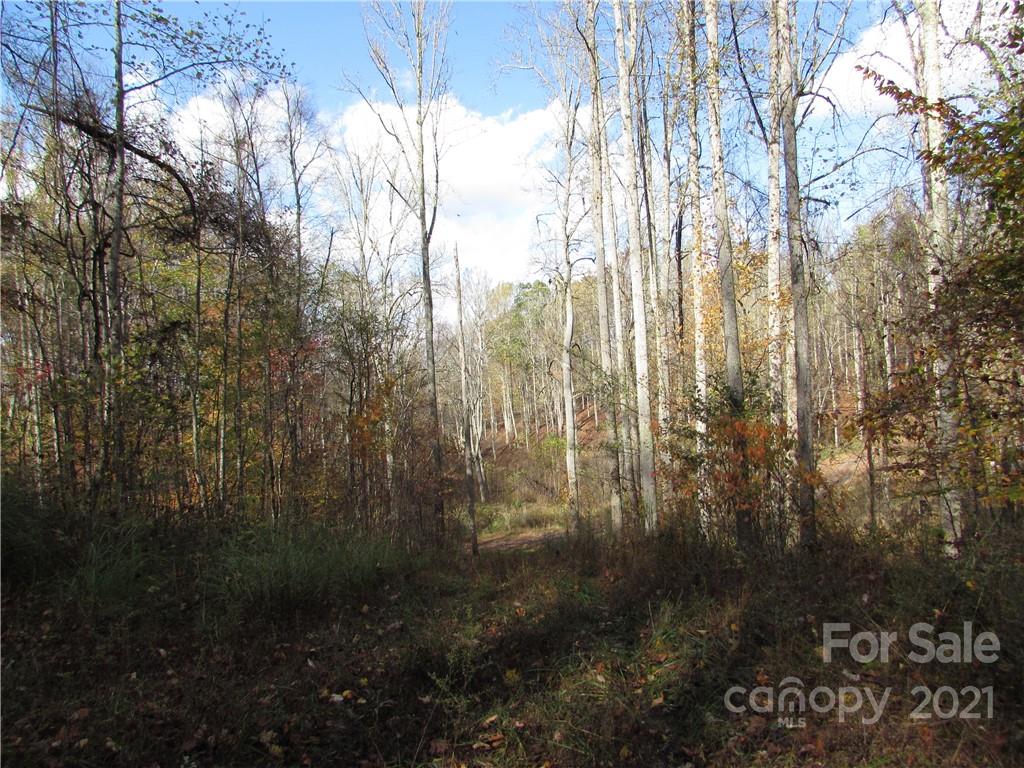 Red Wolf Run - Land
