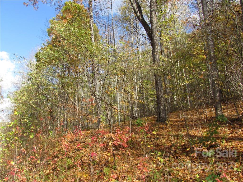 Red Wolf Run - Land