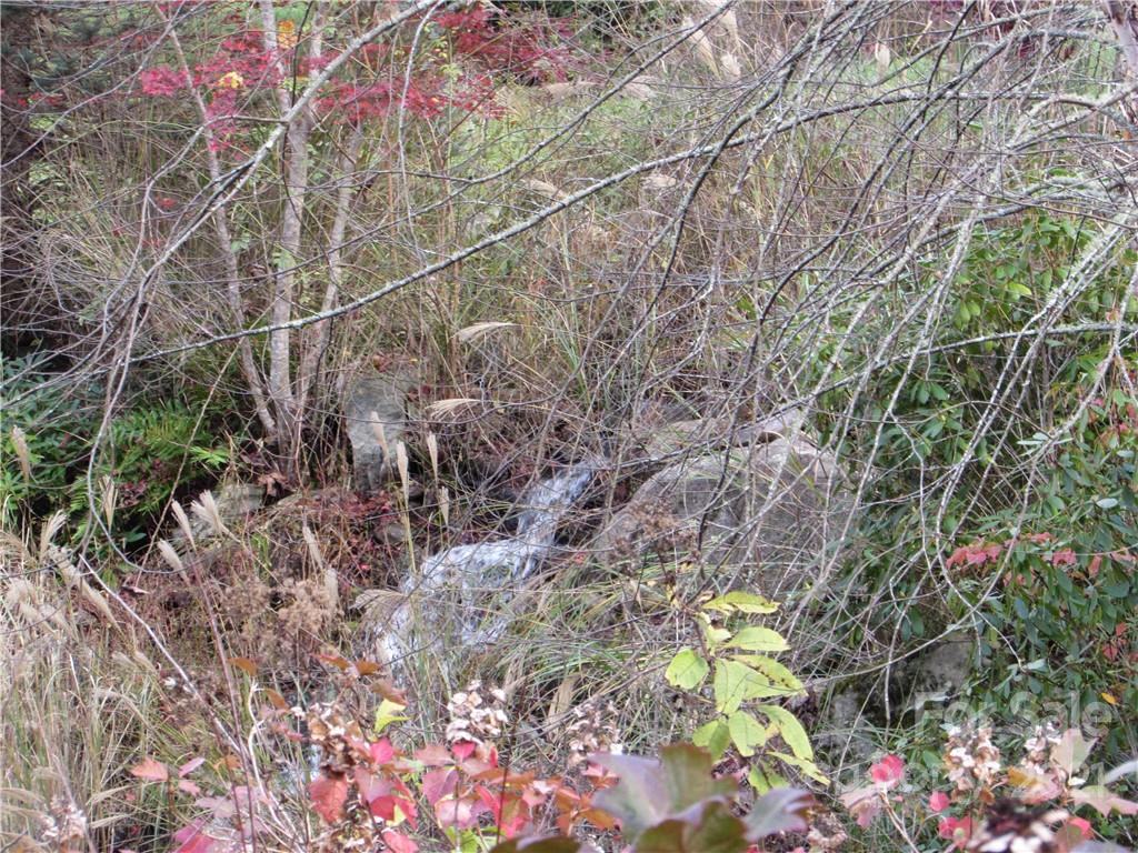 Red Wolf Run - Land