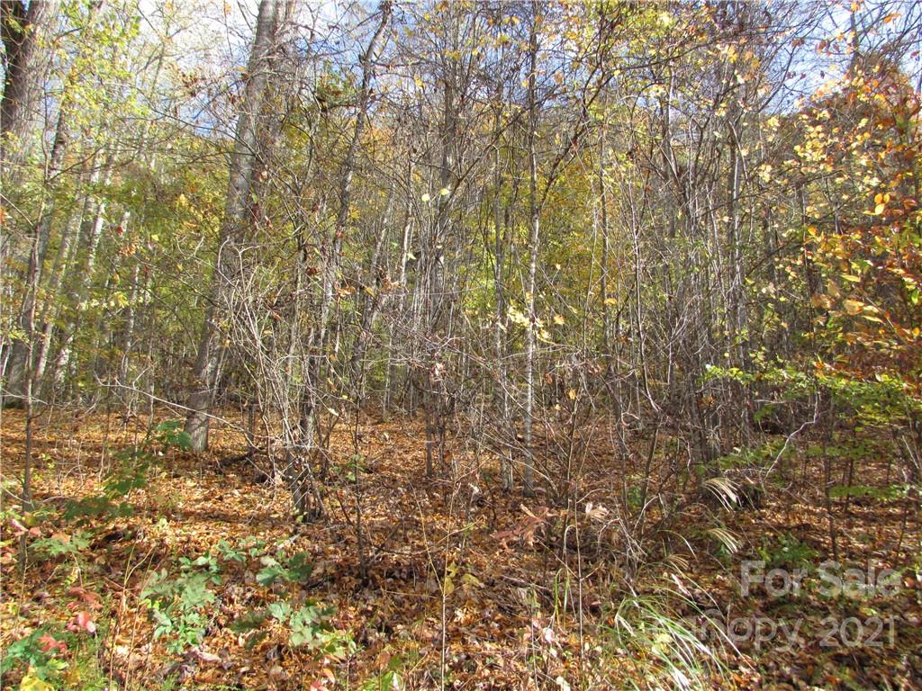 Red Wolf Run - Land