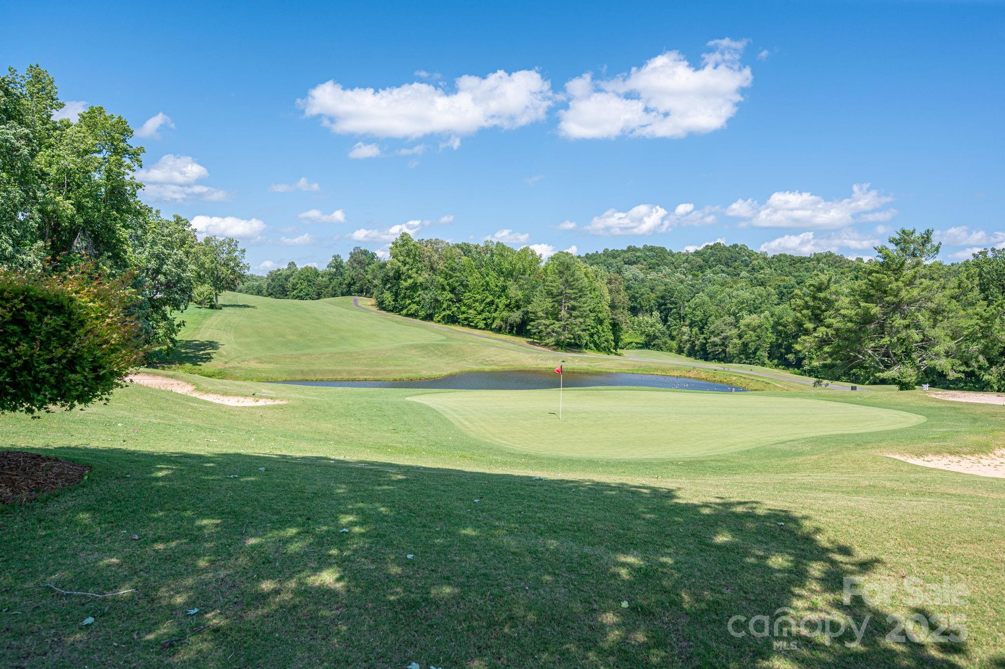 Moss Drive at Cleghorn - Land