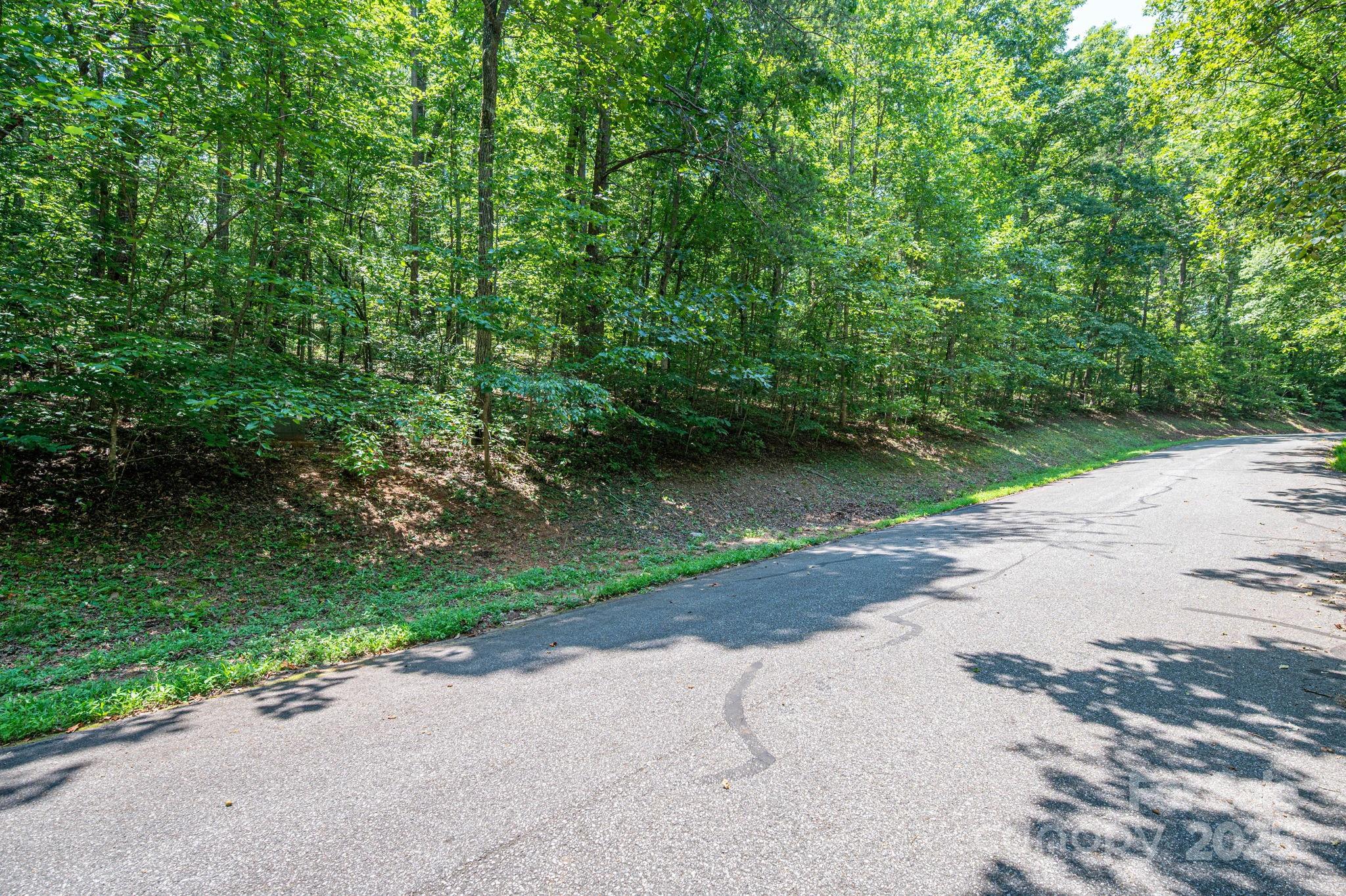 Moss Drive at Cleghorn - Land