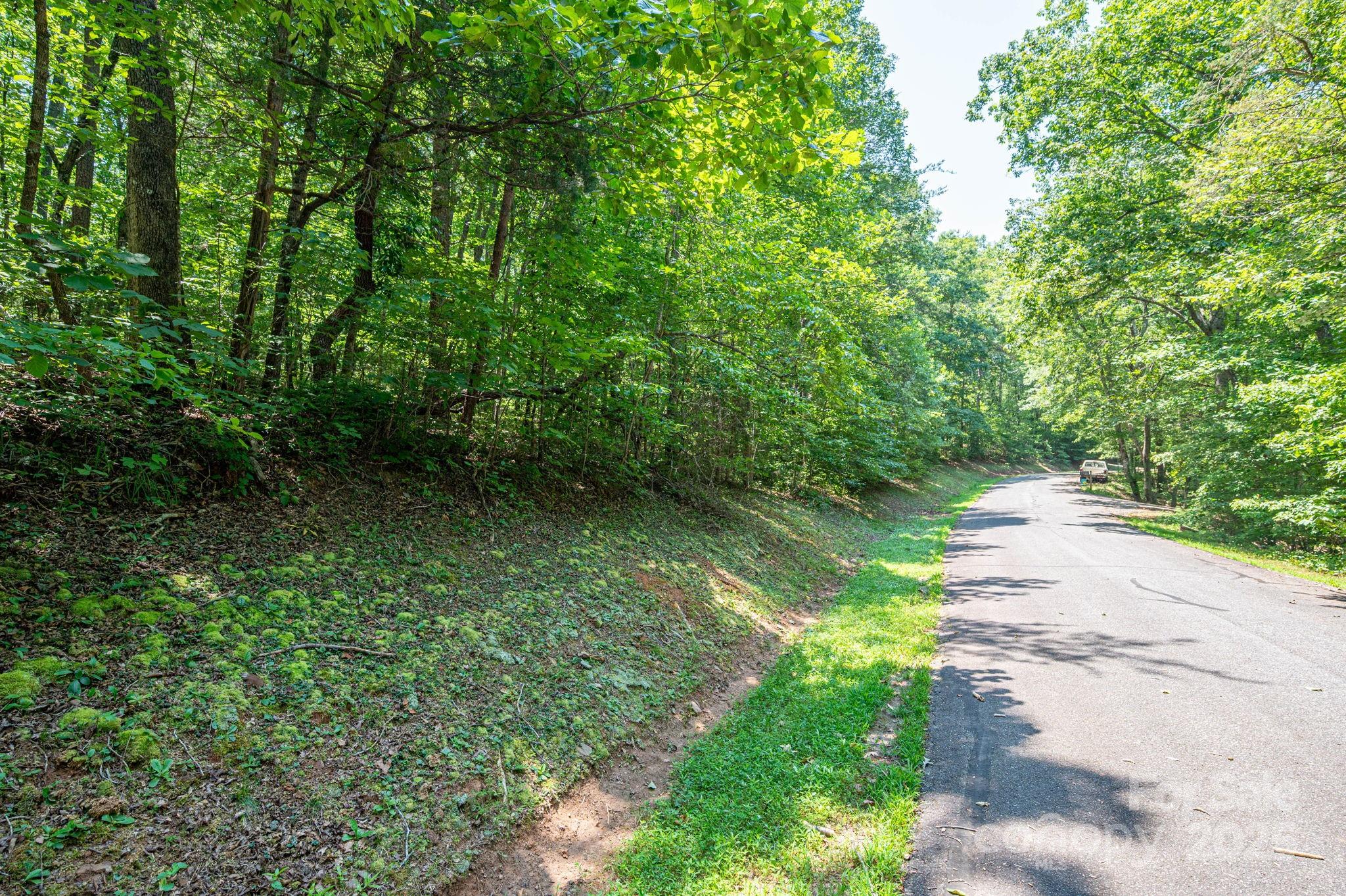 Moss Drive at Cleghorn - Land