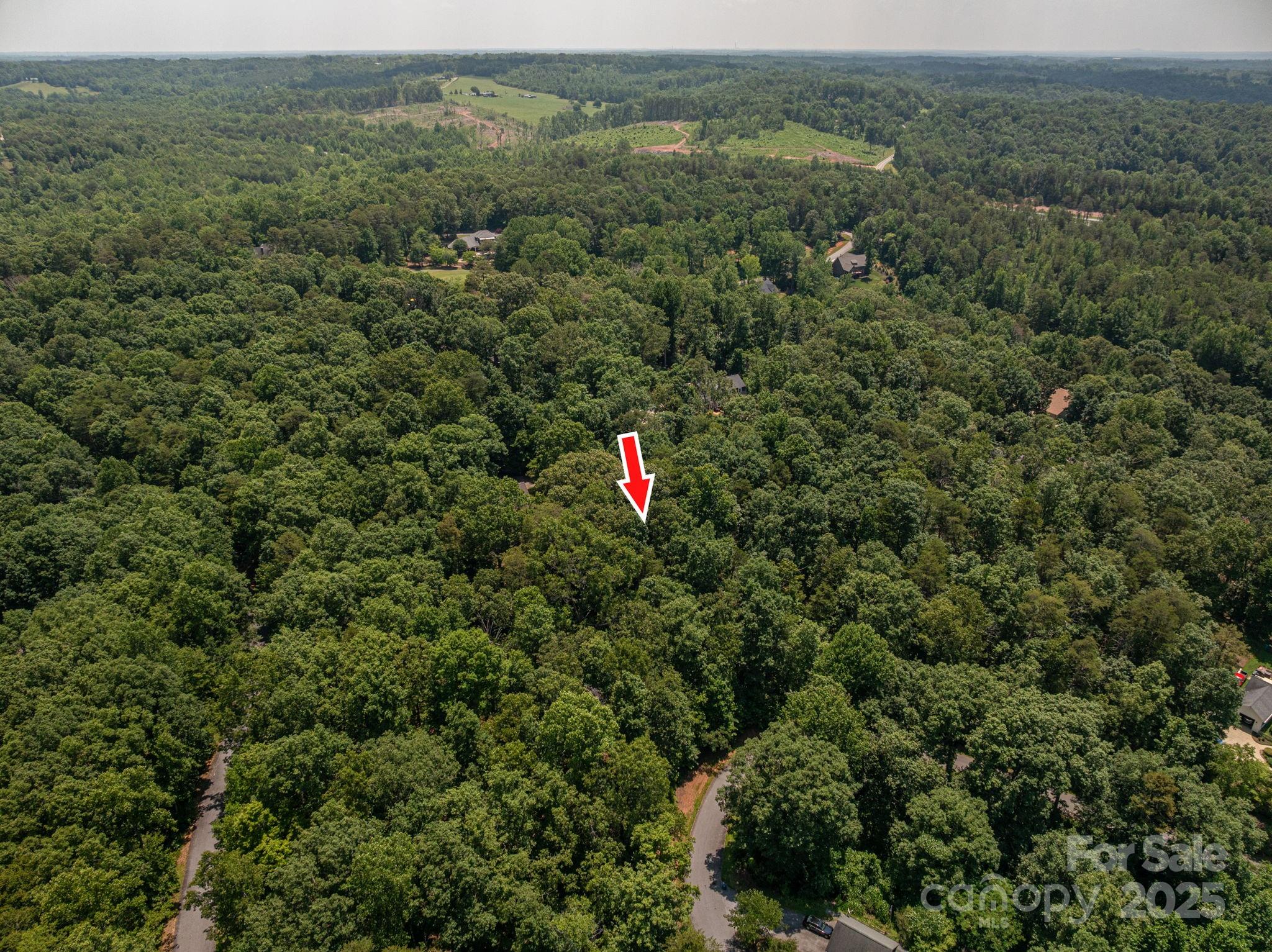 Moss Drive at Cleghorn - Land