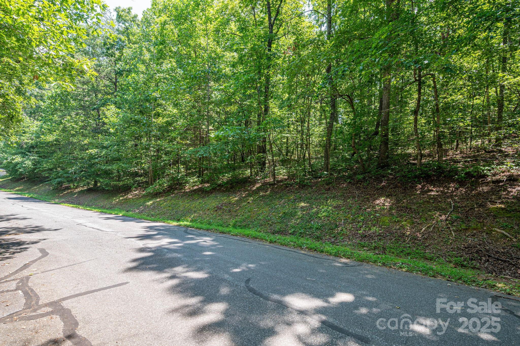 Moss Drive at Cleghorn - Land