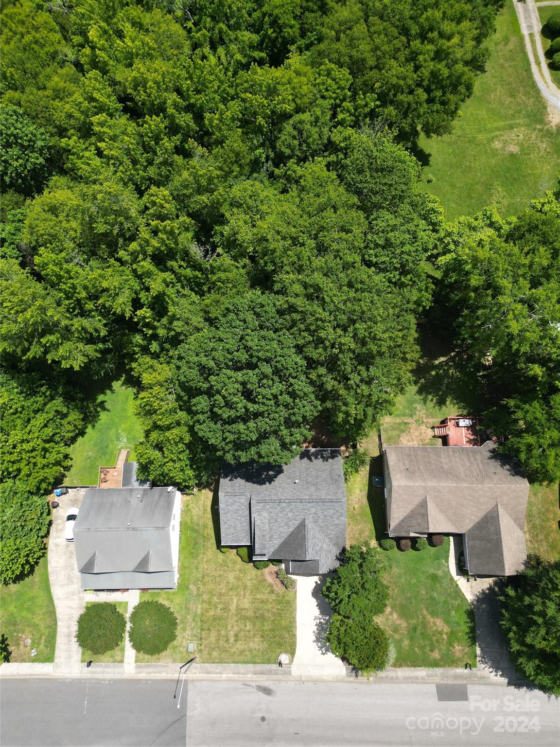Hidden Forest - Residential