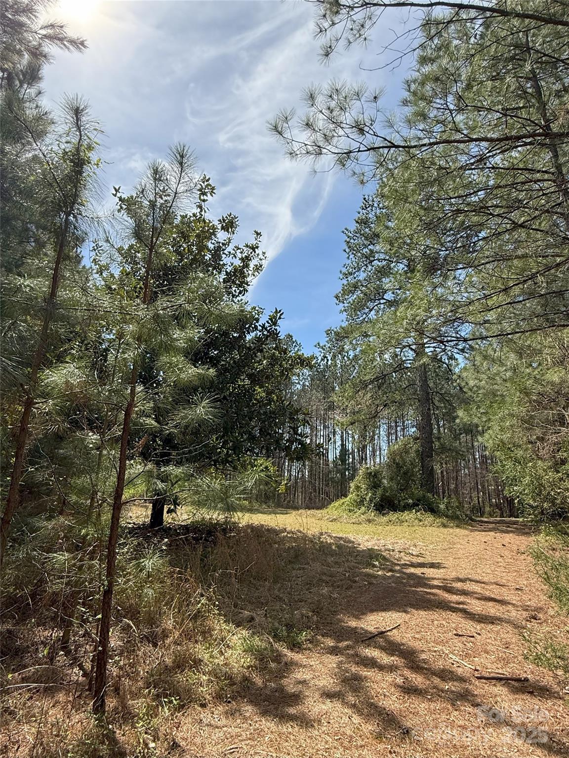 **Charming Land Opportunity in Chester, SC - 2+ Acres of Possibilities!**
Welcome to your own slice of tranquility, located in Chester, South Carolina! This lot is a natural beauty and the perfect place for your dream home or other R-2 use, with no restrictions or HOA. This parcel is loaded with trees and endless opportunities to enjoy nature, while still convenient to town.

The home site was previously occupied by a manufactured home, which has been completely removed. The home was hooked up to a 5’’ well and septic, which has not been used since. Currently, there are overhead power lines on the property, but there is no connected electricity. Contact Chester County Zoning for all allowable/permitted uses and regulations.