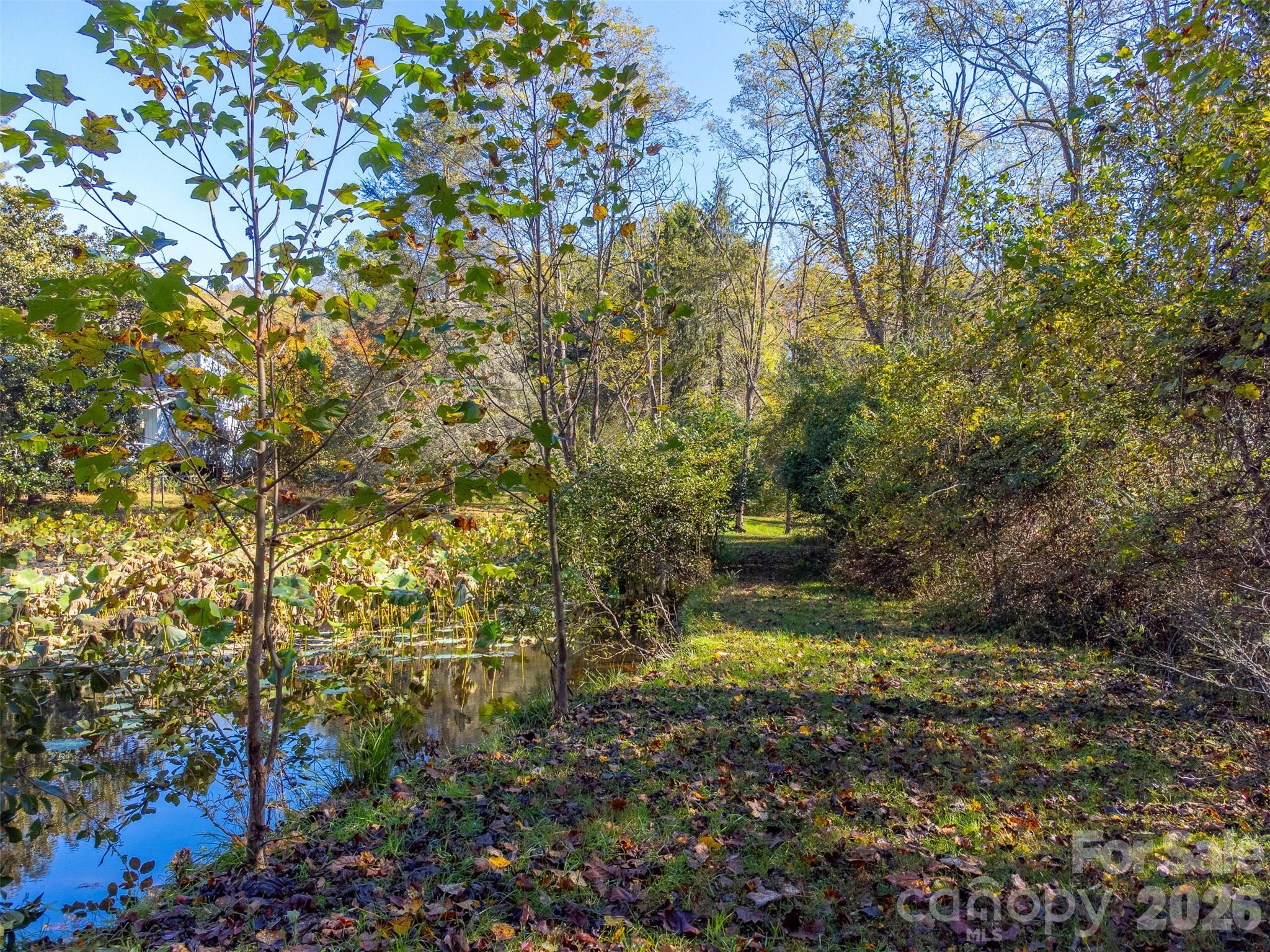 Trimont Trail - Residential