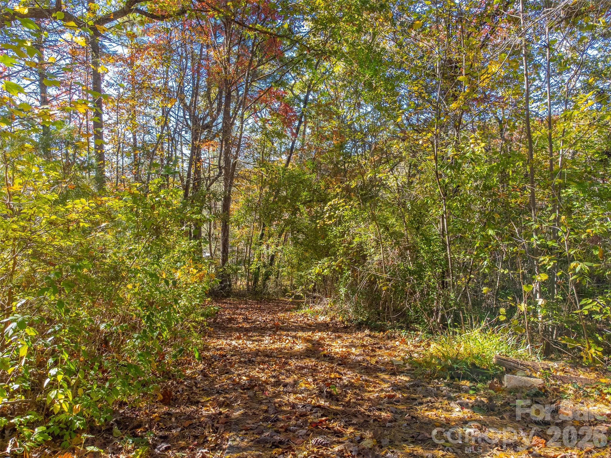 Trimont Trail - Residential