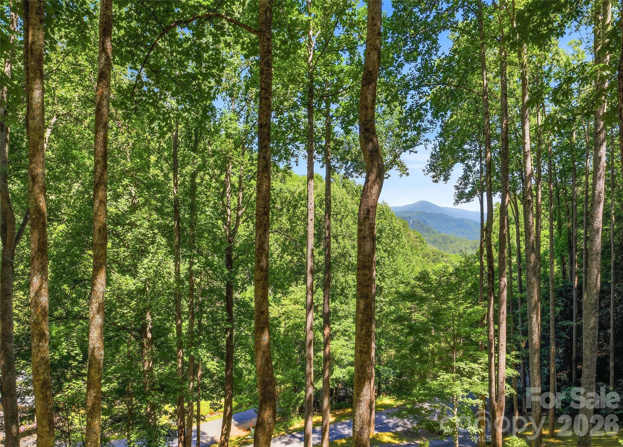 Smoky Mountain Retreat at Eagles Nest - Residential