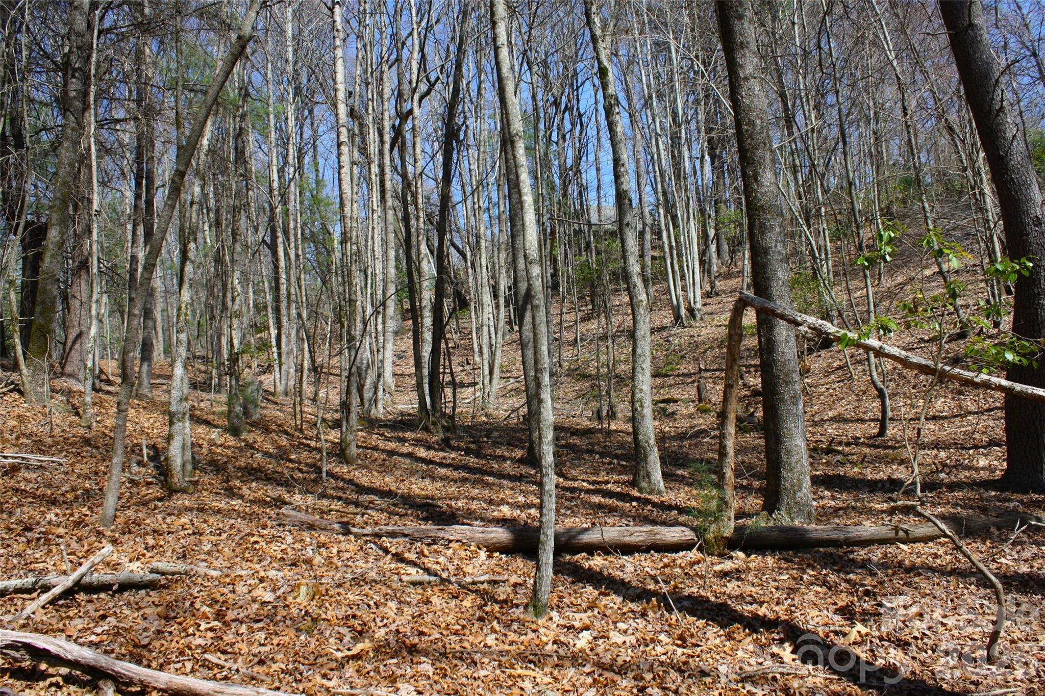 Slick Rock - Land