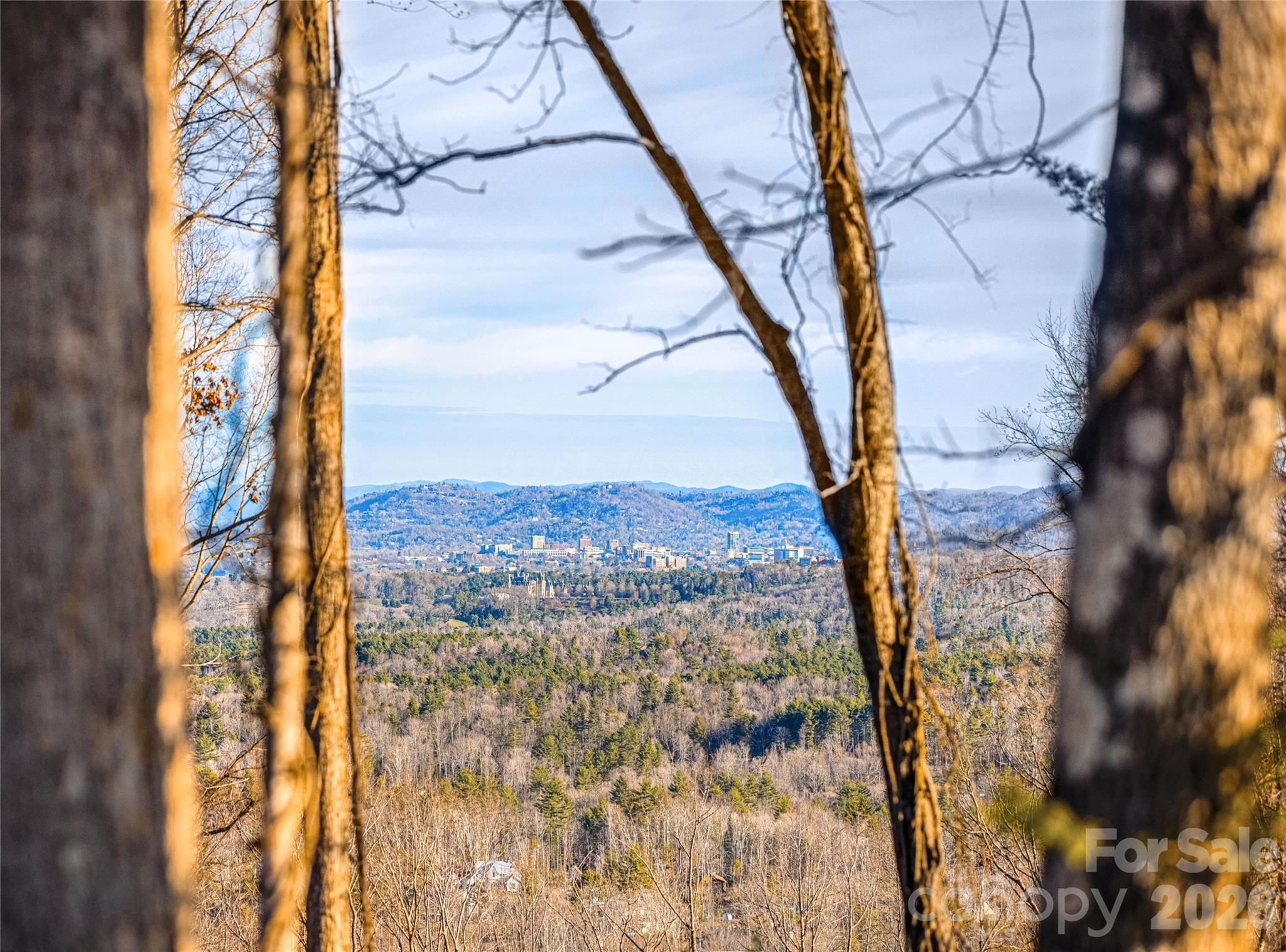 Ramble Biltmore Forest - Land