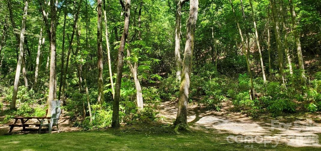 Bird Creek Estates - Residential