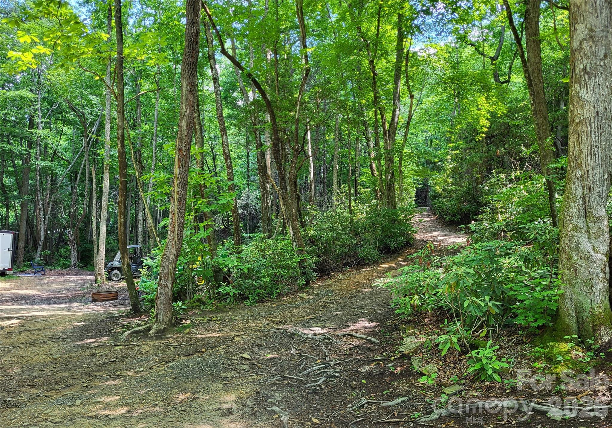 Bird Creek Estates - Residential
