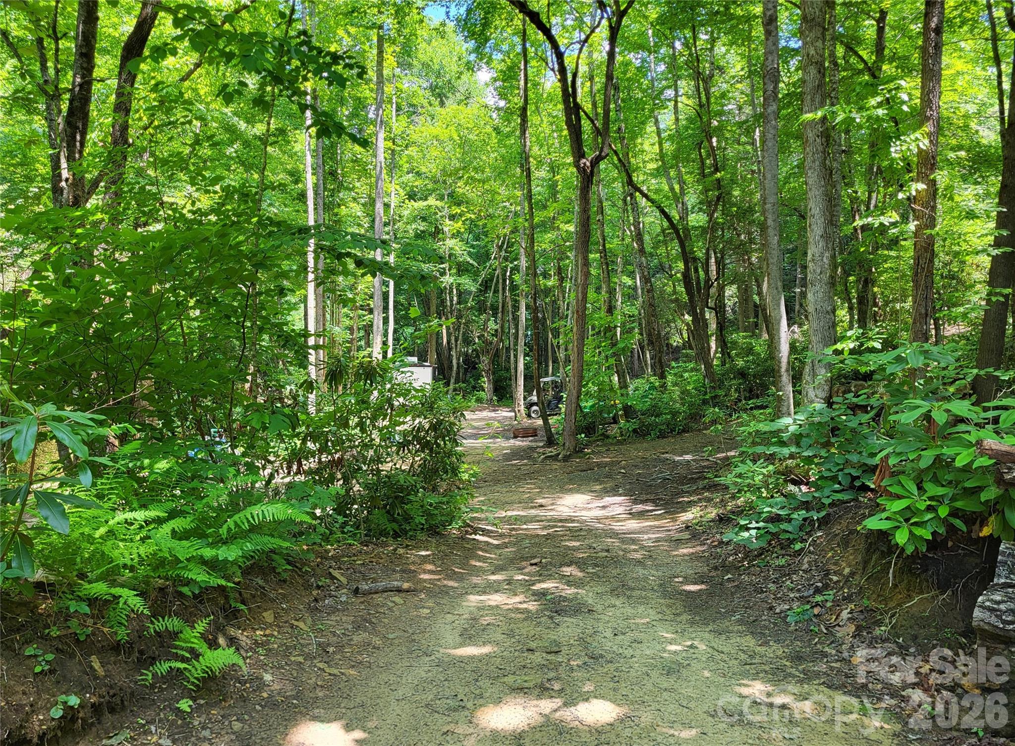 Bird Creek Estates - Residential