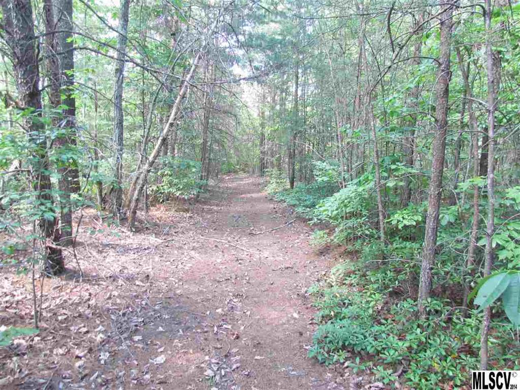 Here is 16 plus acres waiting for the homebuilder that wants some privacy. Situated in the Ellendale community of Alexander Co., it fronts US # 64 for 235 feet. It is minutes from Lenoir as well as Hickory. Charlotte is just an hour to the south and the North Carolina High Country is an hour to the north. Therefore, it is perfectly situated in the foothills of the Blue Ridge mountains. It is rolling hills, mostly with a cover of small hardwoods. There is also a small stream that meanders through the property. If you wanted to pasture part of the property, you would have the water for your livestock already there. So, bring your imagination and check this property out for your future dream home.