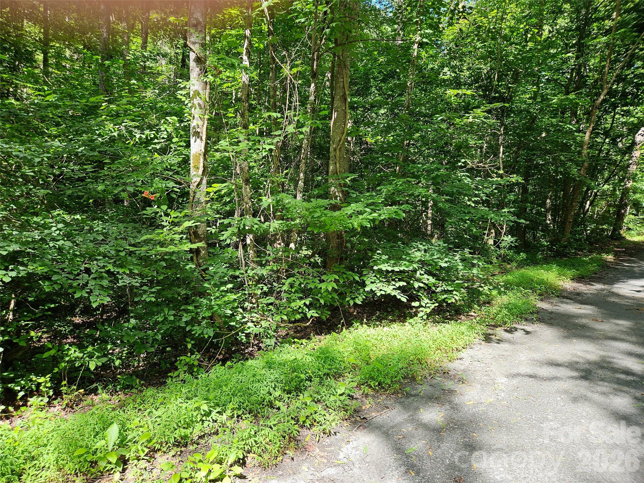 Riverbend at Lake Lure - Land