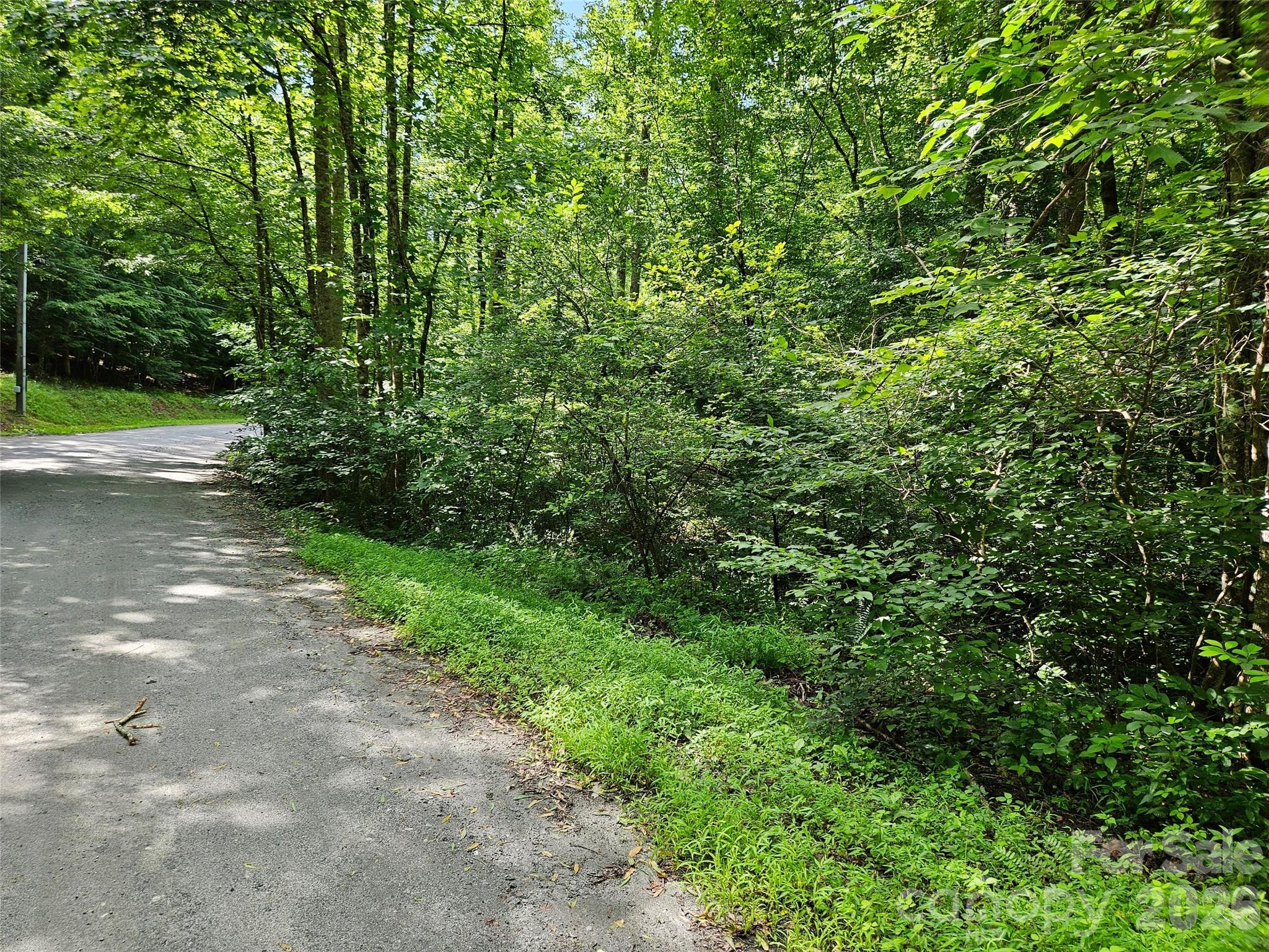 Riverbend at Lake Lure - Land
