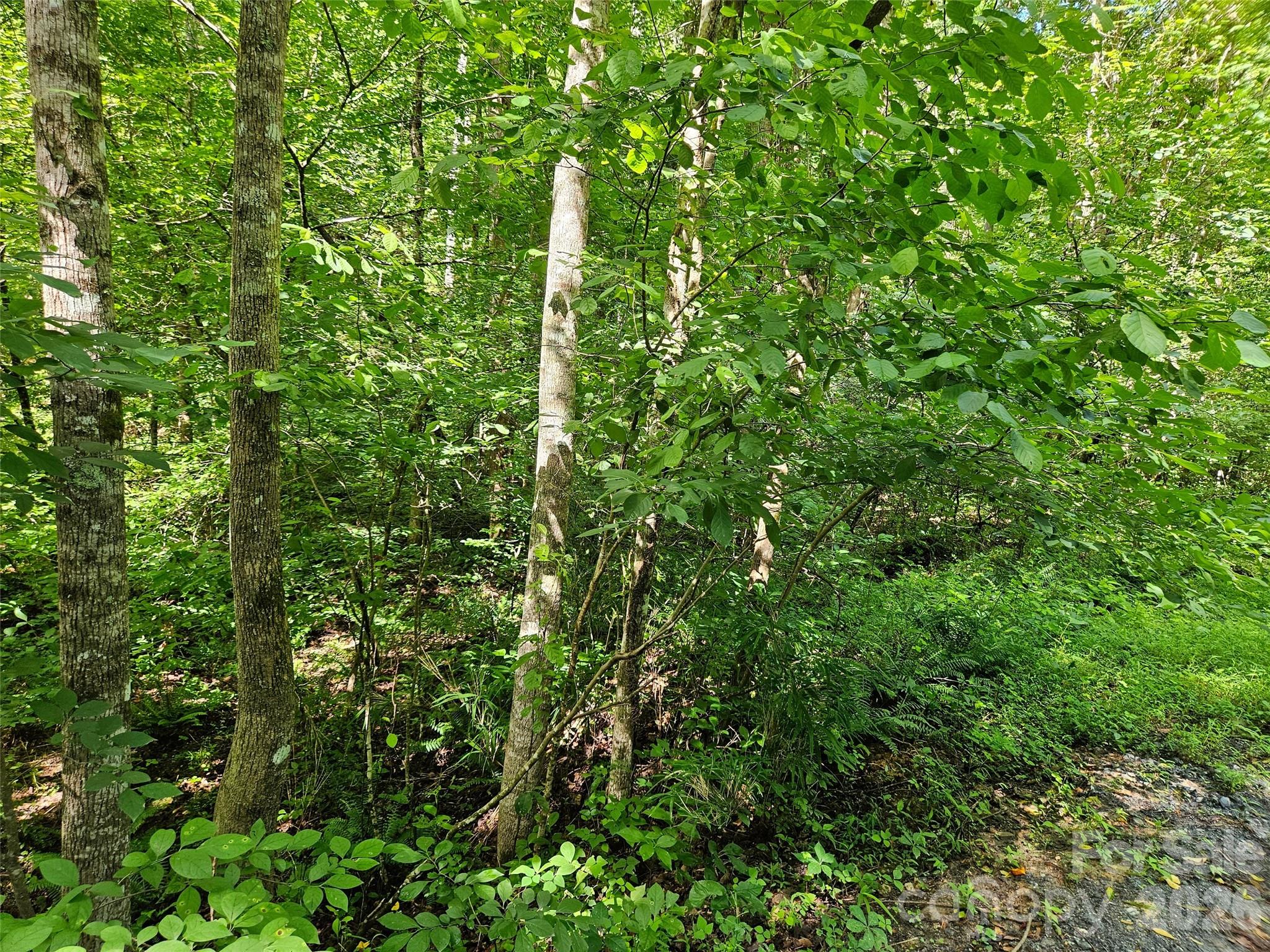 Riverbend at Lake Lure - Land