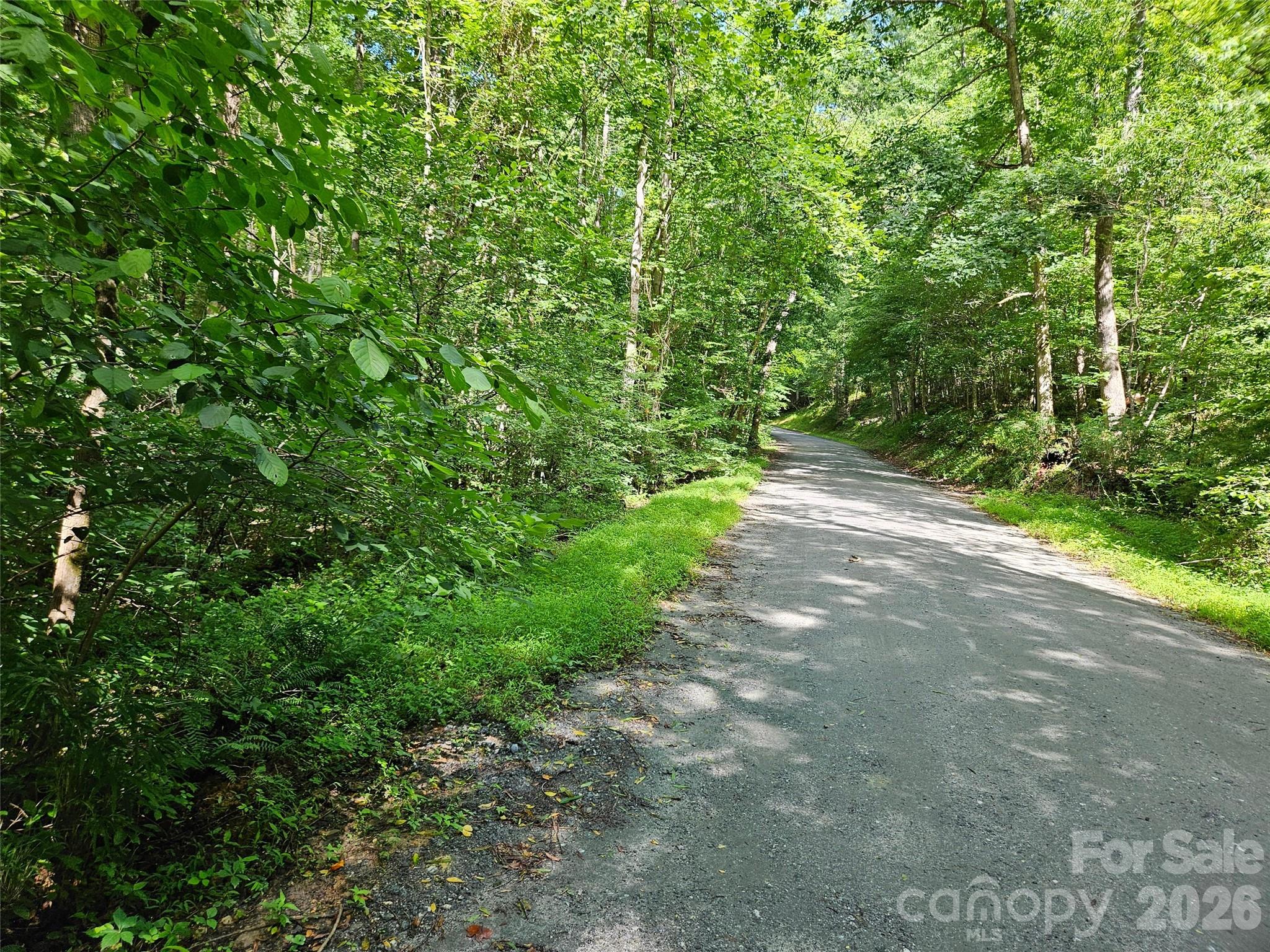 Discover the perfect mountain escape on this .68-acre lot in the private, gated community of Riverbend at Lake Lure. Nestled among the trees, this gently sloping parcel offers a peaceful setting for your future home or vacation retreat. Enjoy exclusive access to two private lakes, hiking trails, a sandy beach, and the Broad River for kayaking or fishing. Community amenities include picnic areas, a pavilion, and walking trails—all surrounded by natural beauty and mountain views. Just minutes from Lake Lure, Chimney Rock, and local dining. Ideal for full-time living,
weekend getaways, or investment. Short-term rentals allowed with restrictions.