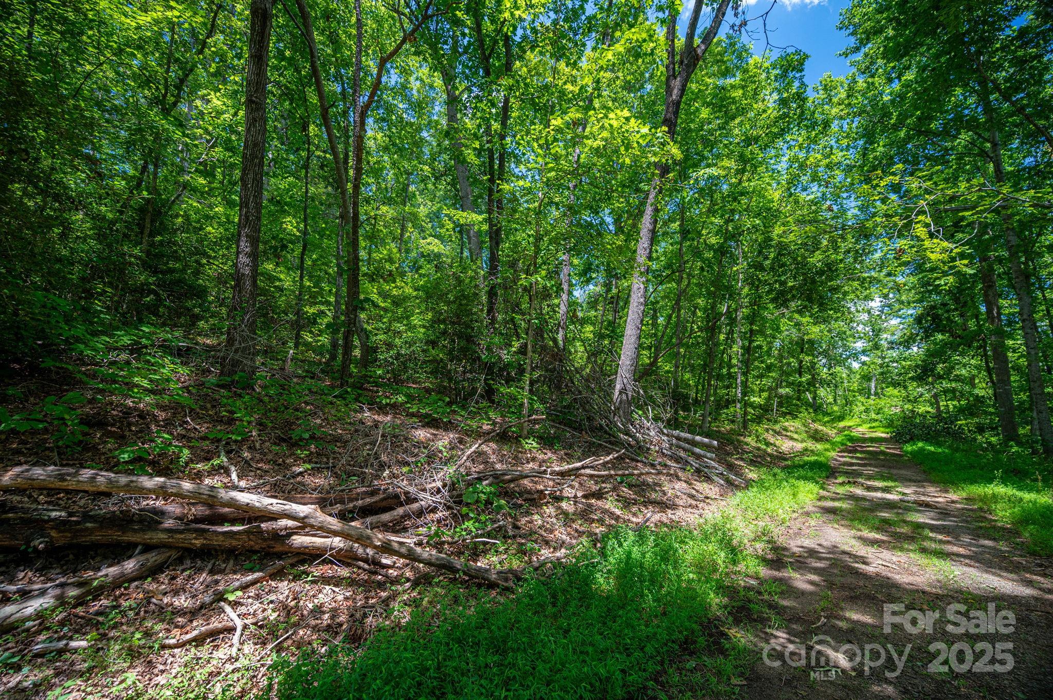 Cleghorn Plantation - Land