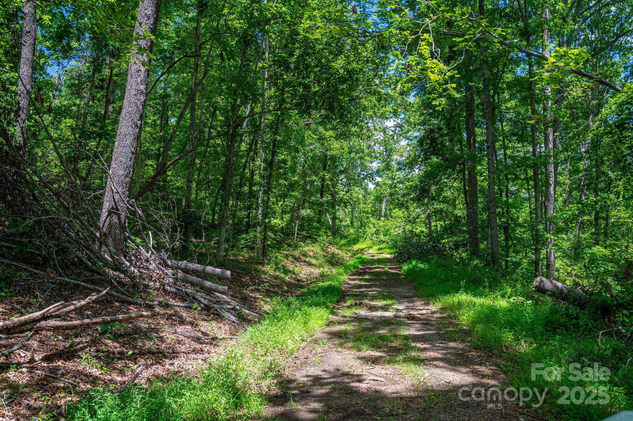 Cleghorn Plantation - Land