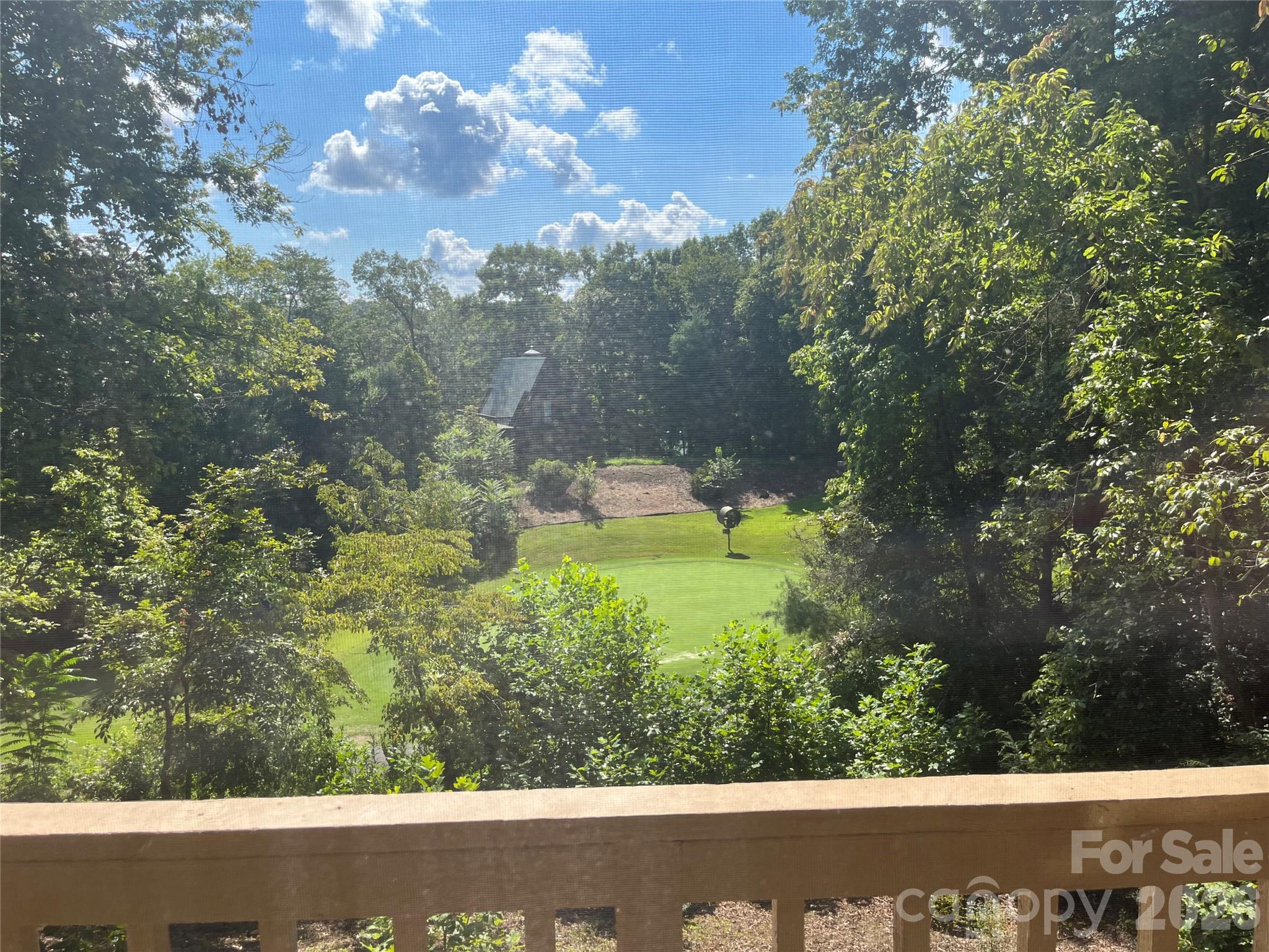 Rumbling Bald on Lake Lure - Residential