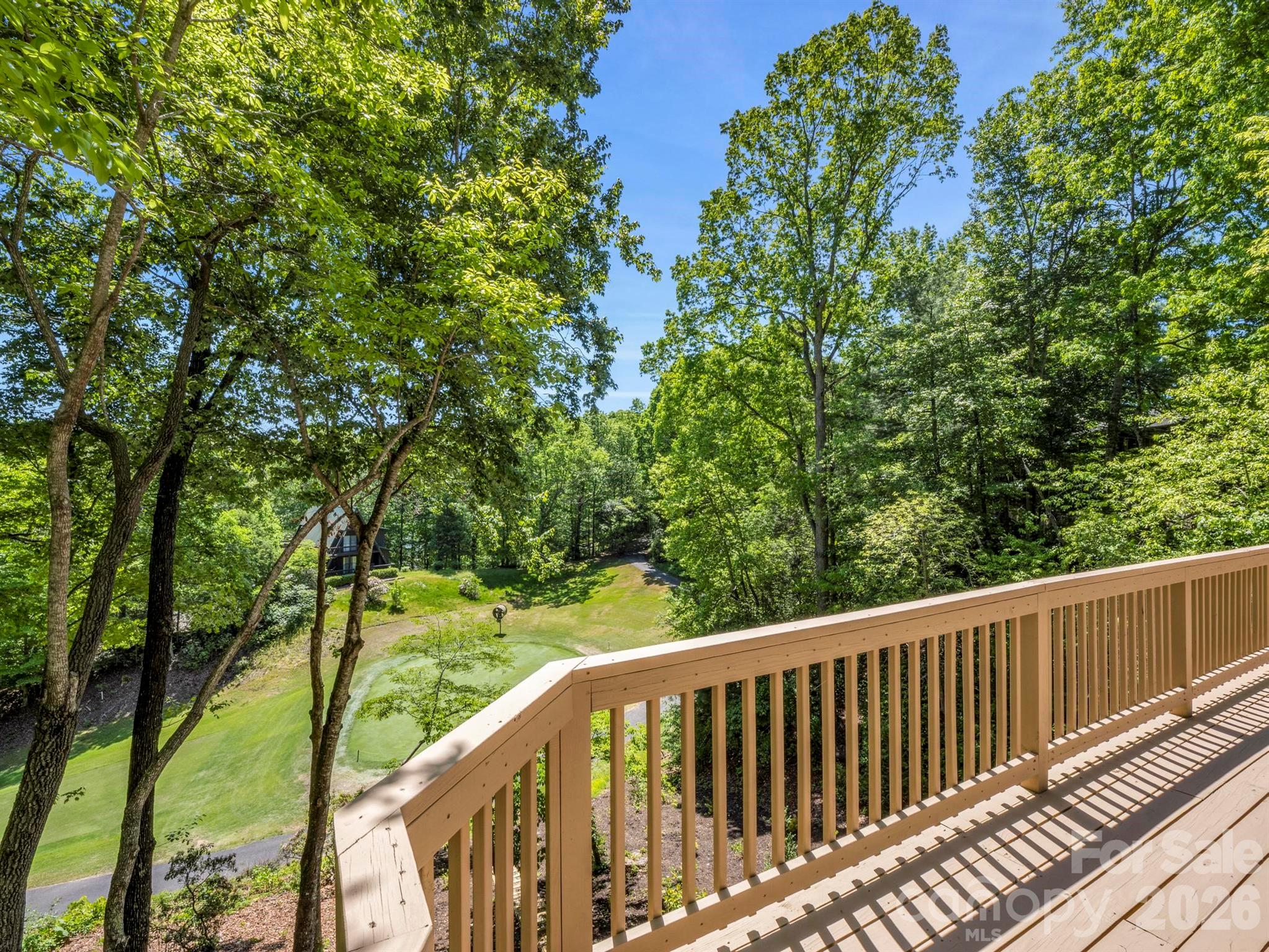 Rumbling Bald on Lake Lure - Residential