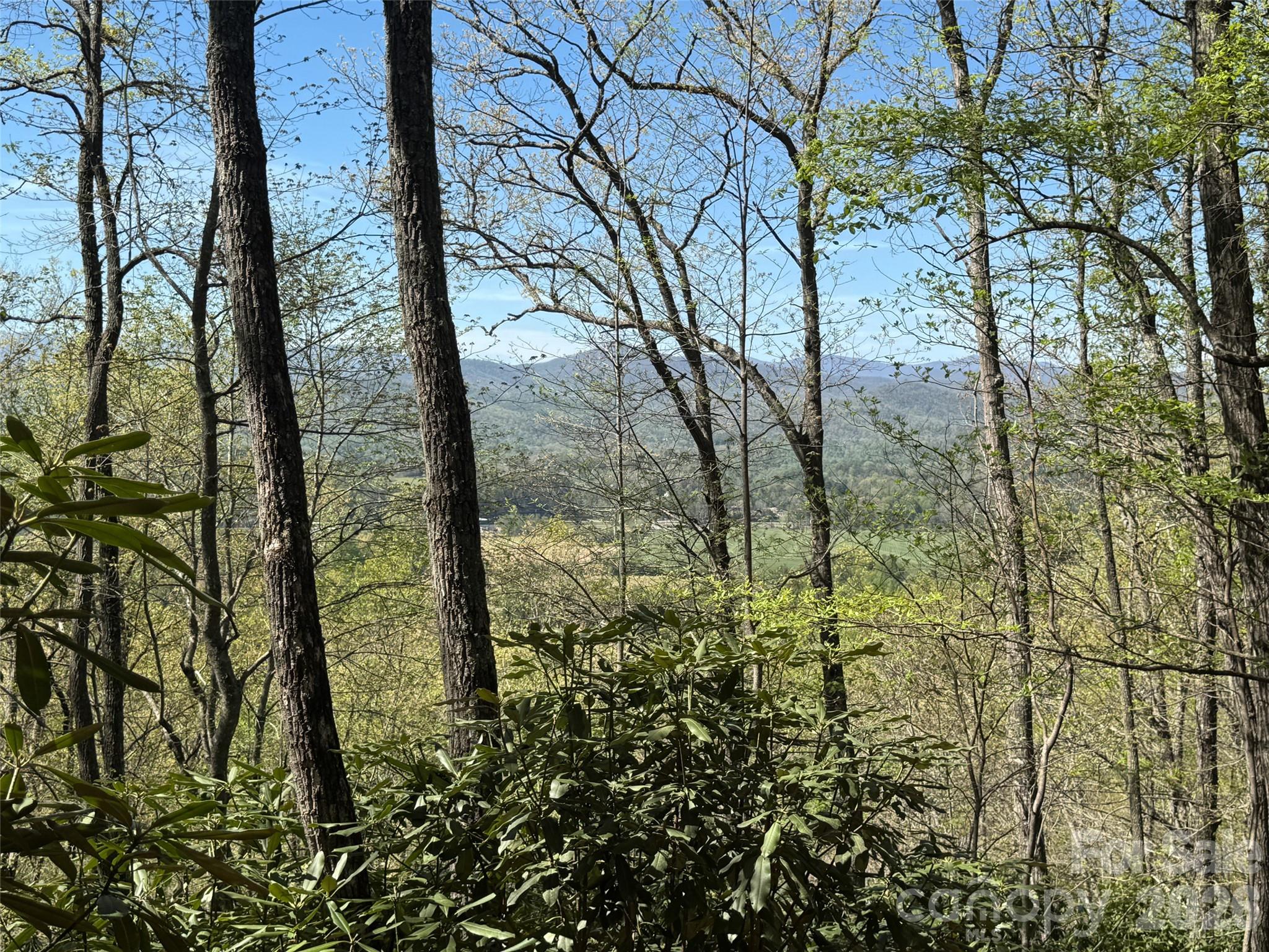 Your mountain sanctuary awaits! Imagine waking up to sweeping valley and mountain views from your own private slice of paradise. This exceptional 12+ acre lot in The Reserve offers the best value view acreage available in this exclusive gated community, and for good reason. It's where mountain lovers truly find their home.
The Reserve isn't just another development. It's a carefully curated enclave of fine estates where ultra-low density means real privacy. With a 10-acre minimum, you're not just buying land, you're securing genuine seclusion, complete with a peaceful creek and the kind of unobstructed views that take your breath away. This is the perfect canvas for the home or retreat you've always dreamed of building.
The Best of Both Worlds, Close enough to enjoy everything Brevard, Hendersonville, and Asheville have to offer, yet far enough away to truly escape. Your own private mountain sanctuary with world-class convenience just minutes away. If you're ready to trade the noise for the views and discover what mountain living really means, let's talk.