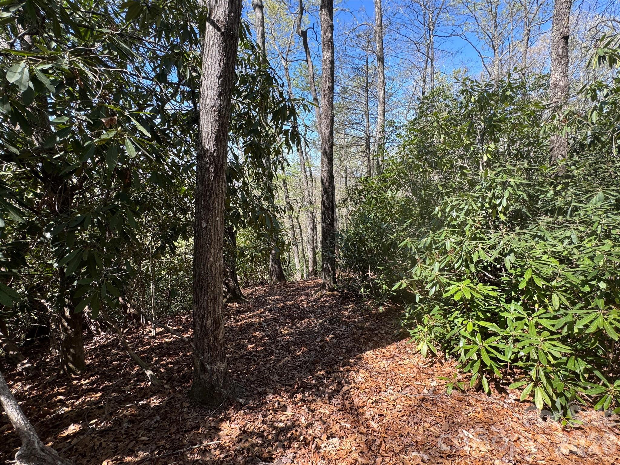 The Reserve - Land